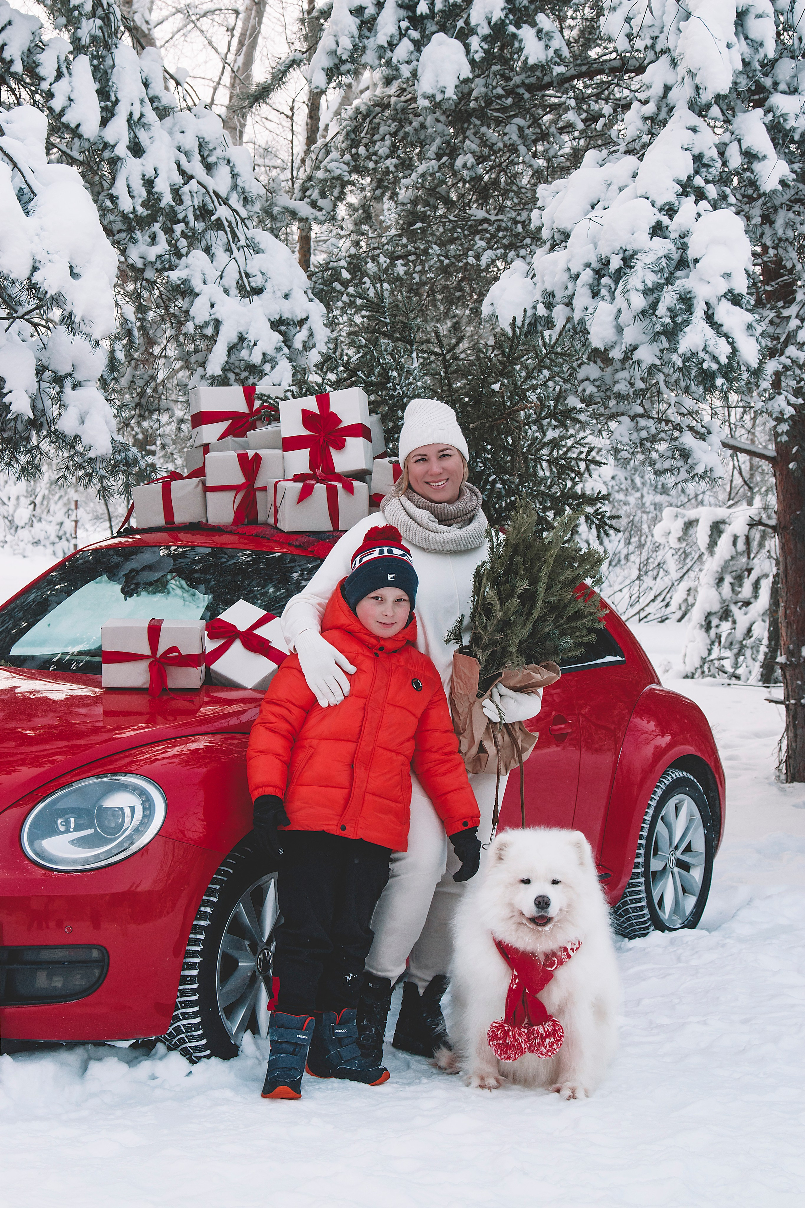Новогодний красный жук. Фотограф Ольга Бобб Нижний Новгород