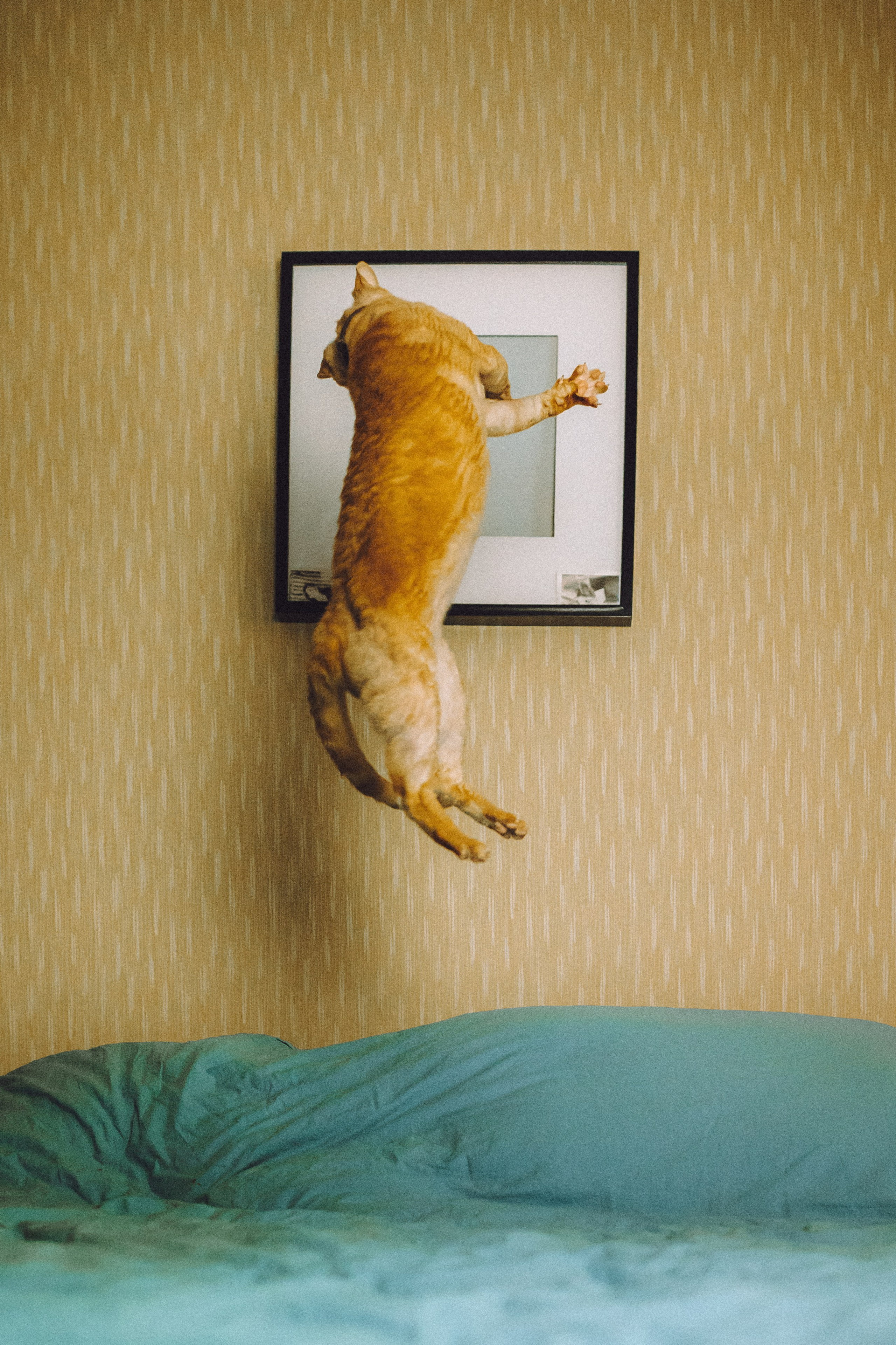 Гречка, Ковш и их семья