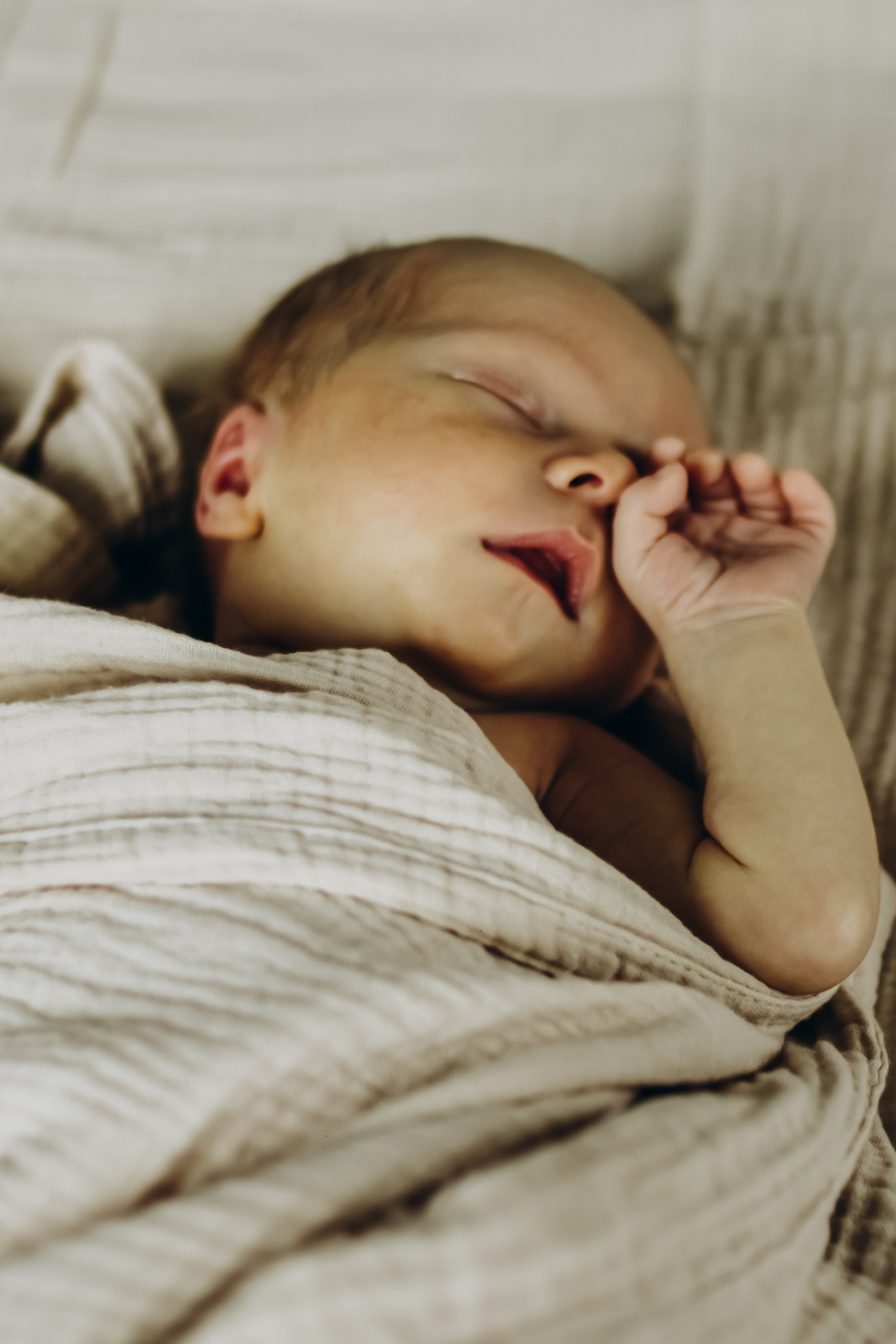 Домашняя 23.08.2025. Свой фотограф Нижний Новгород