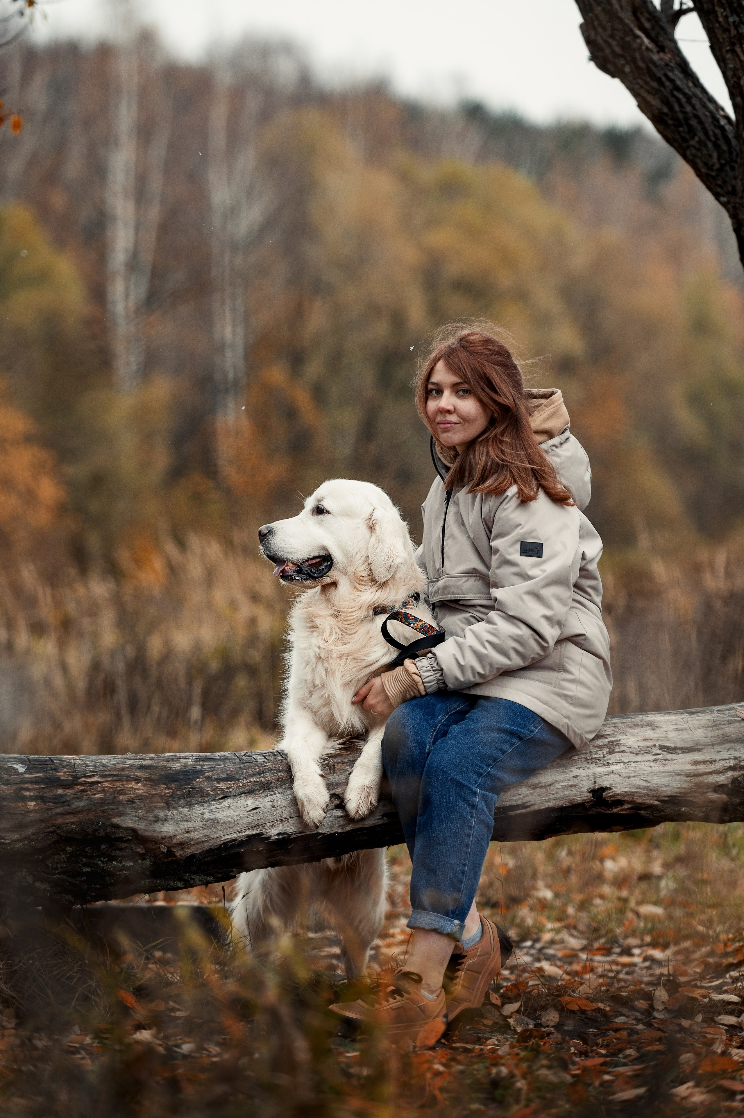 Айс и золотая осень. Фотограф-анималист