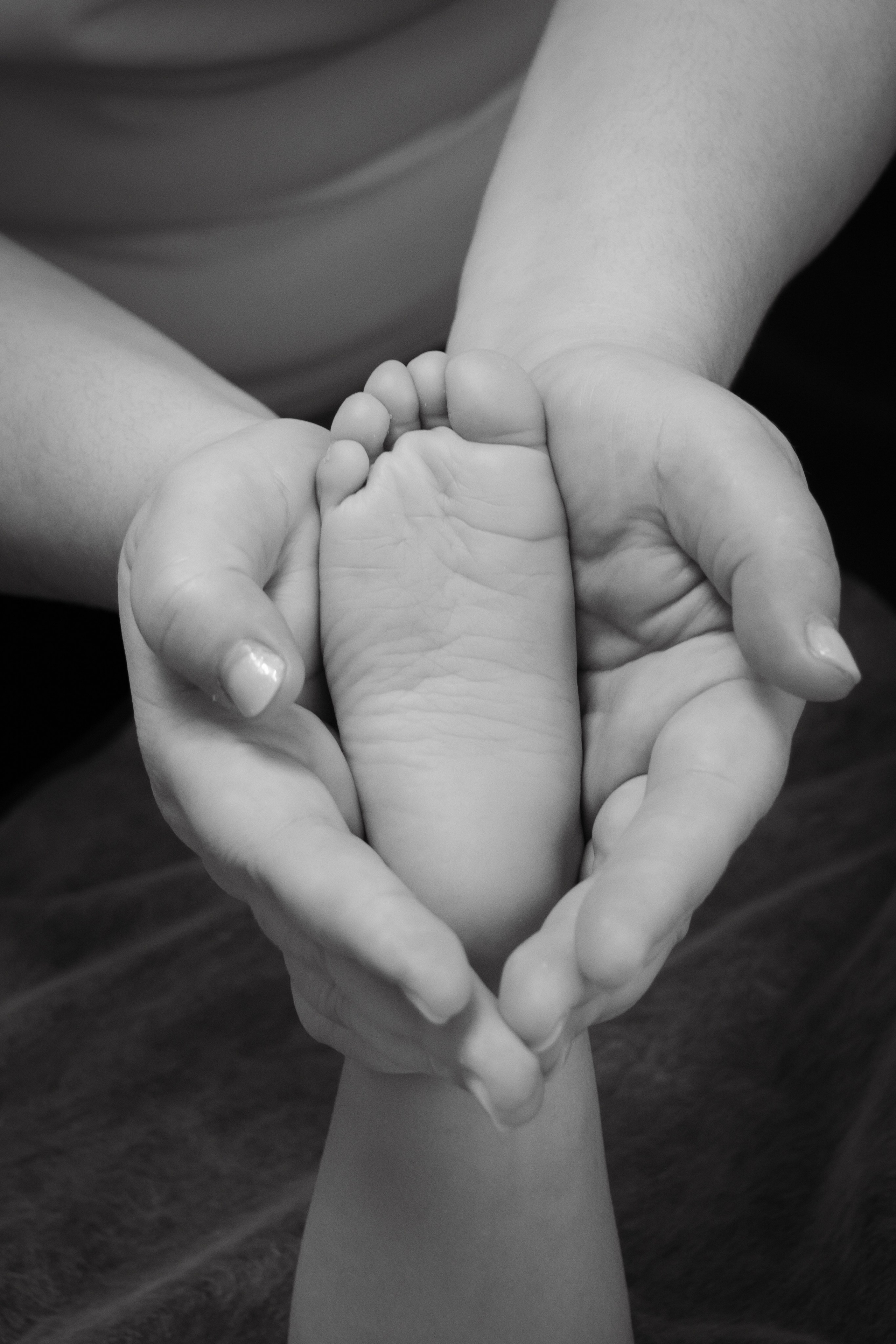 Gerber. Семейный и репортажный фотограф в Хабаровске Татьяна Болычева