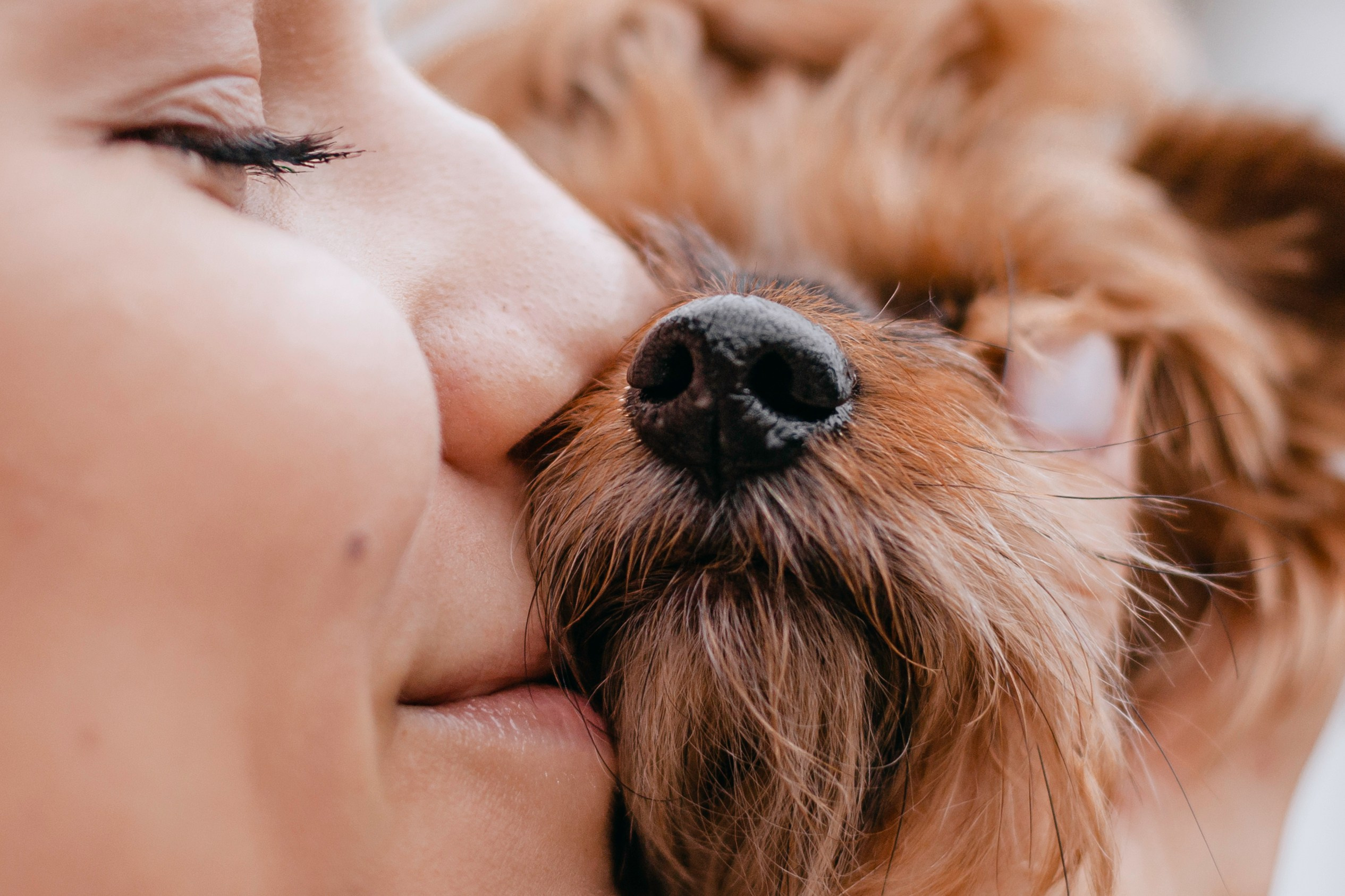 Катя и Моня. Фотограф-анималист Татьяна Степанова