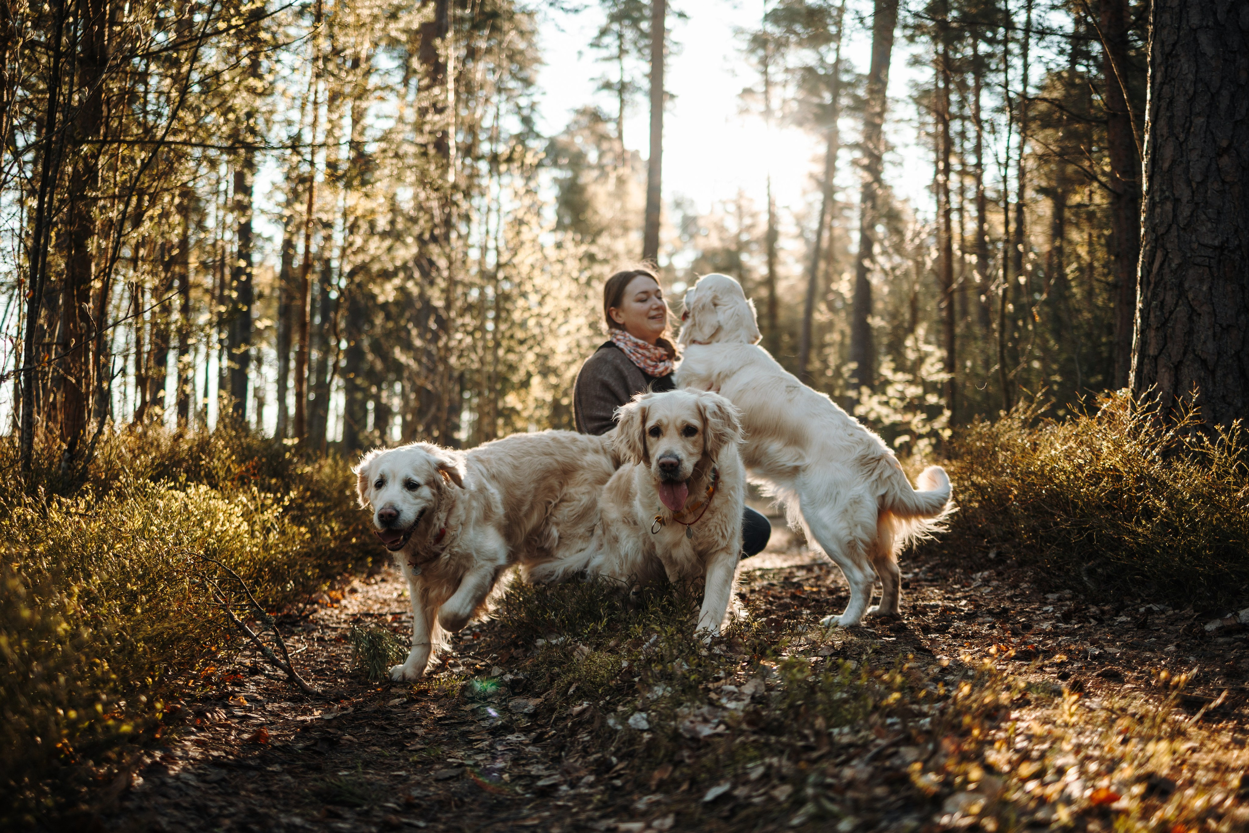 Катя и ее девочки. Фотограф — Анималист | Санкт-Петербург