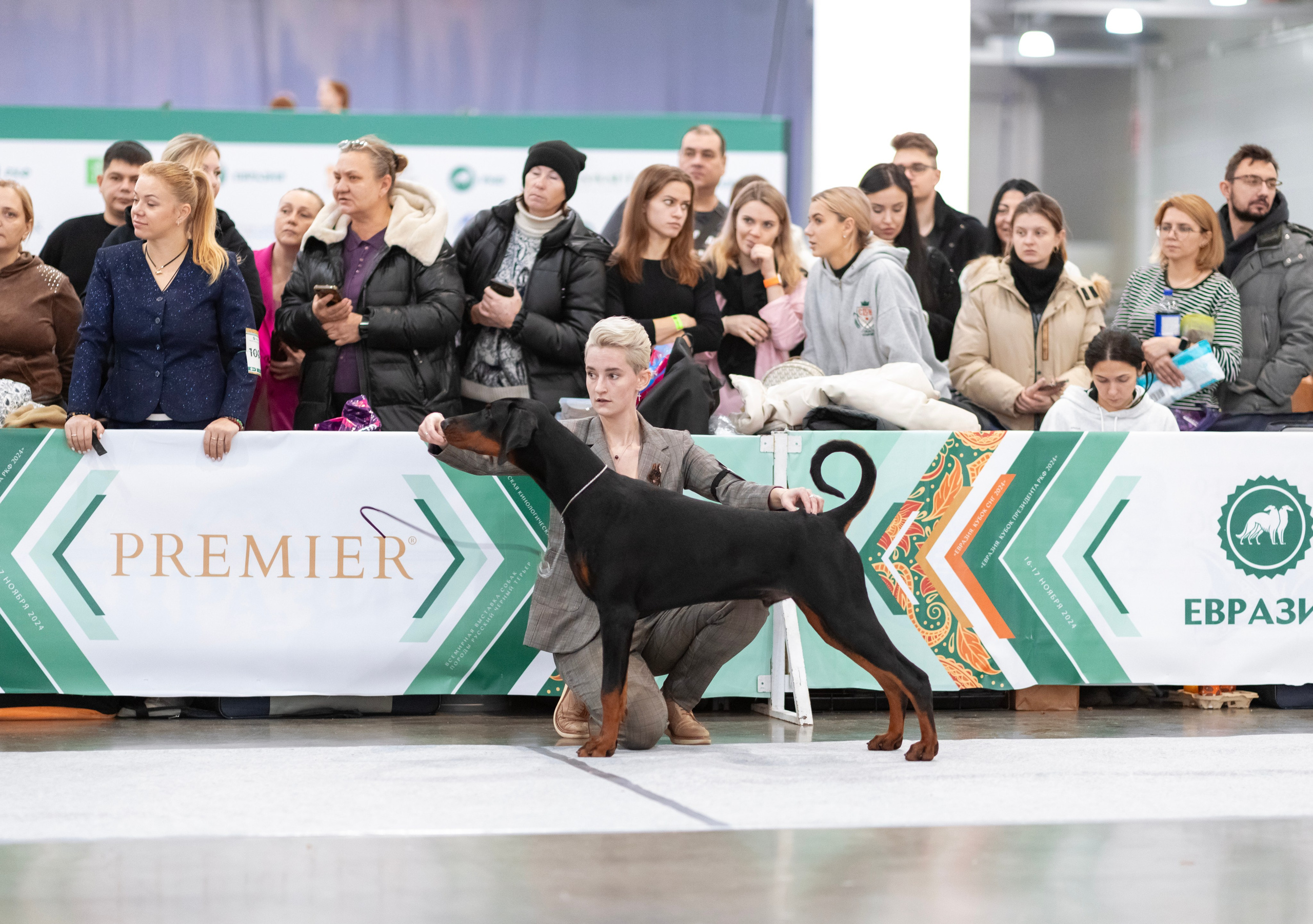 Евразия. Фотограф — анималист Татьяна Ли