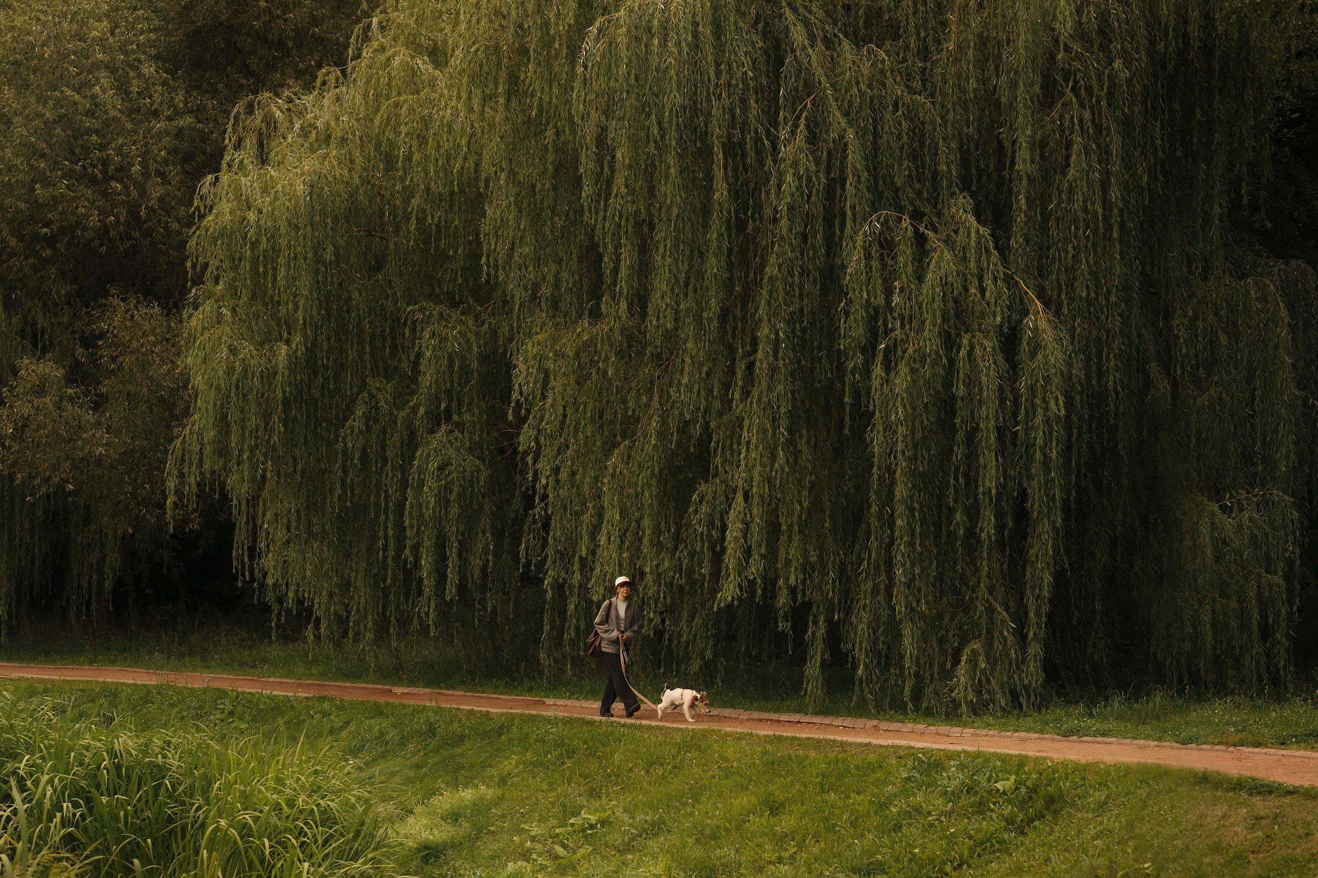 Мартин. Фотограф- анималист Александра Матвеева