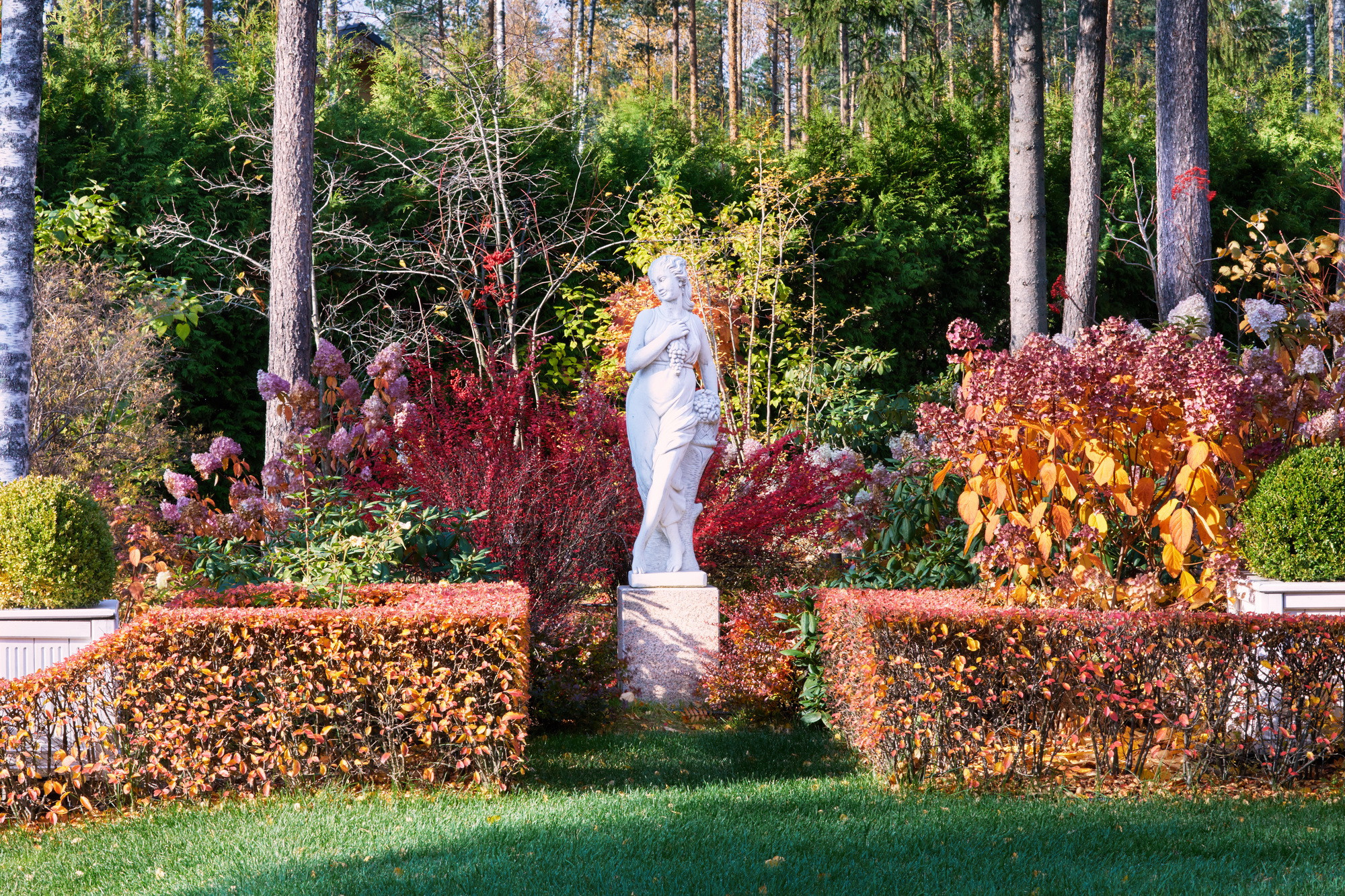Загородная недвижимость. Фотограф Антон Кузнецов, Ташкент