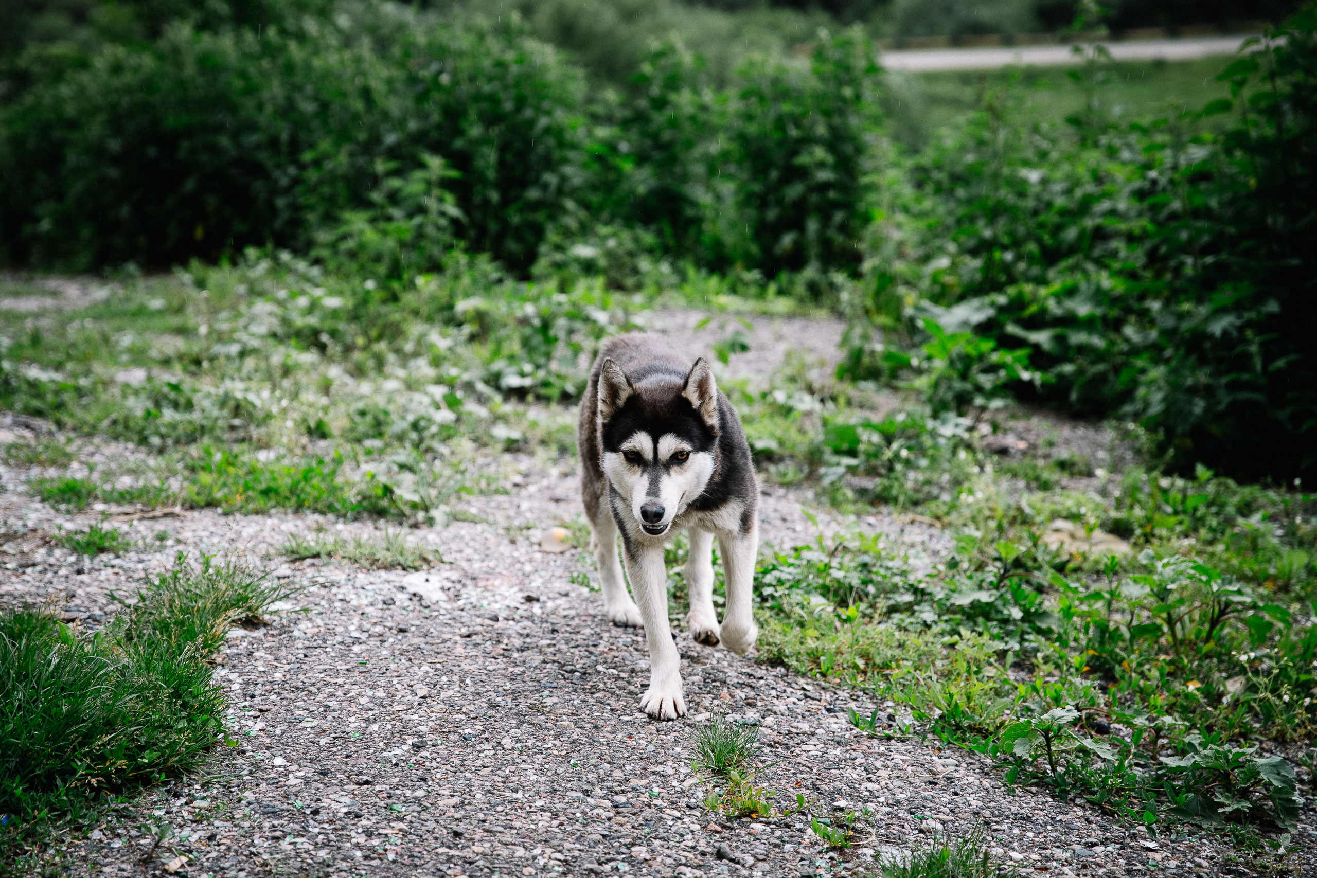 Кавказ лето 2021. Фотограф в Ростове-на-Дону