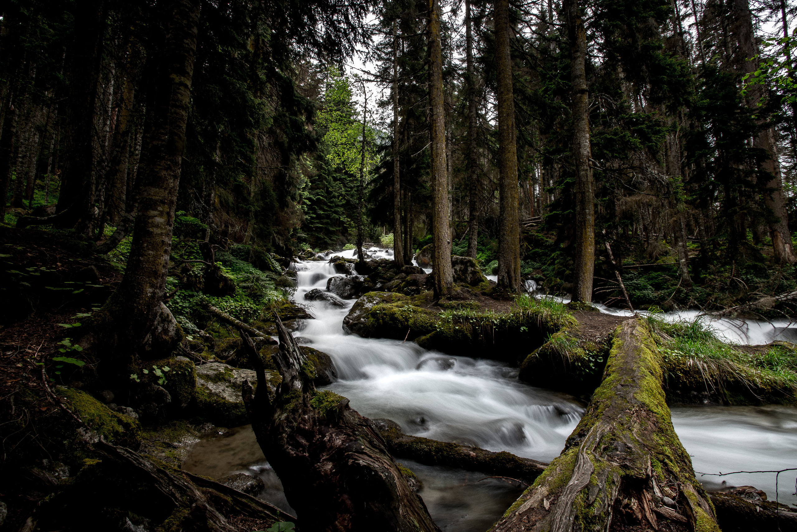 Кавказ лето 2021. Фотограф в Ростове-на-Дону