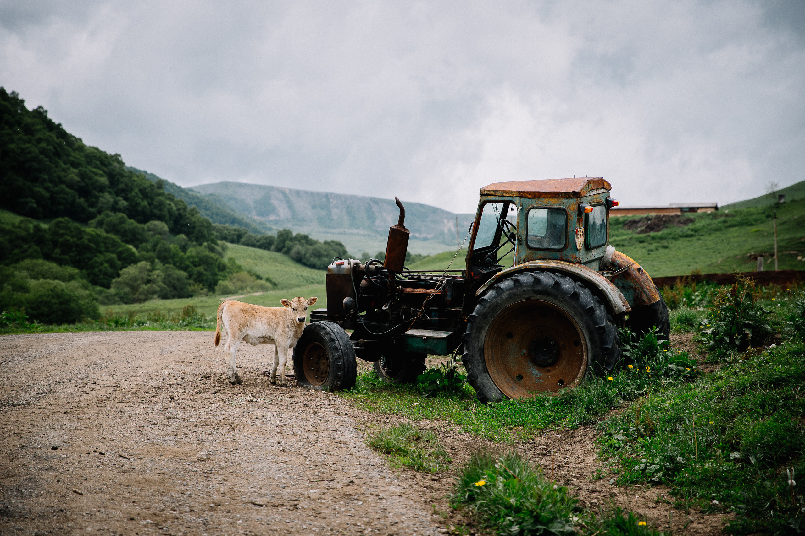 Кавказ лето 2021. Фотограф в Ростове-на-Дону