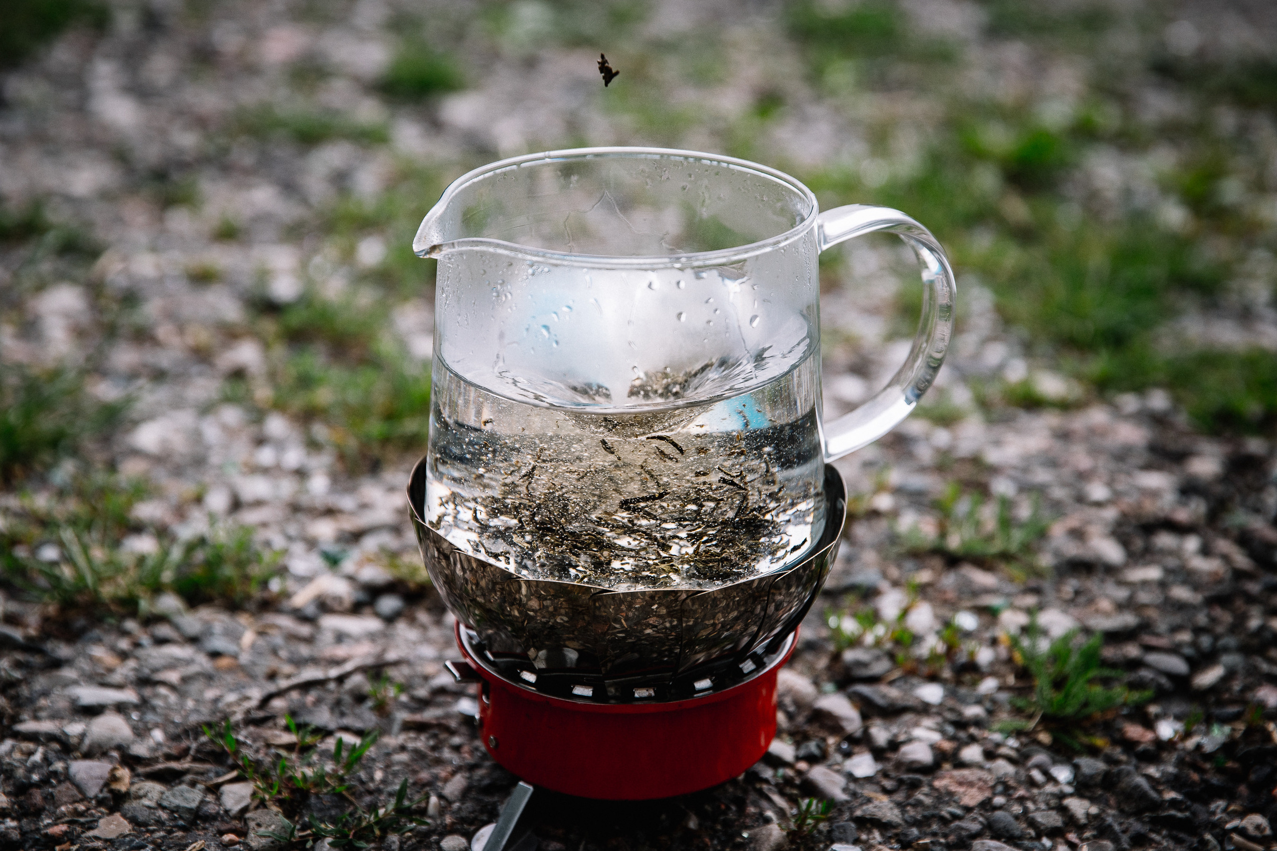 Кавказ лето 2021. Фотограф в Ростове-на-Дону