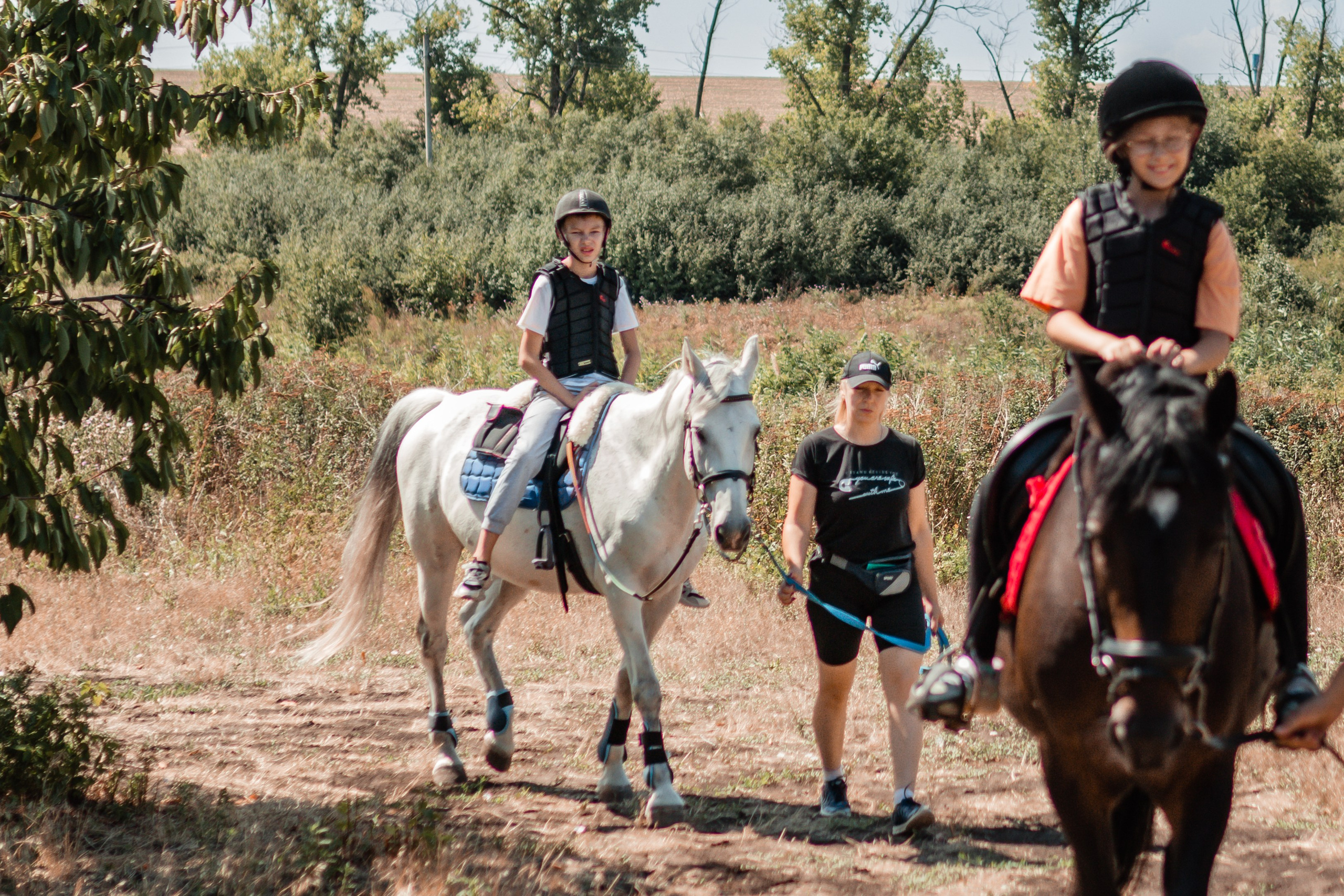 Выезды в поля на лошади
