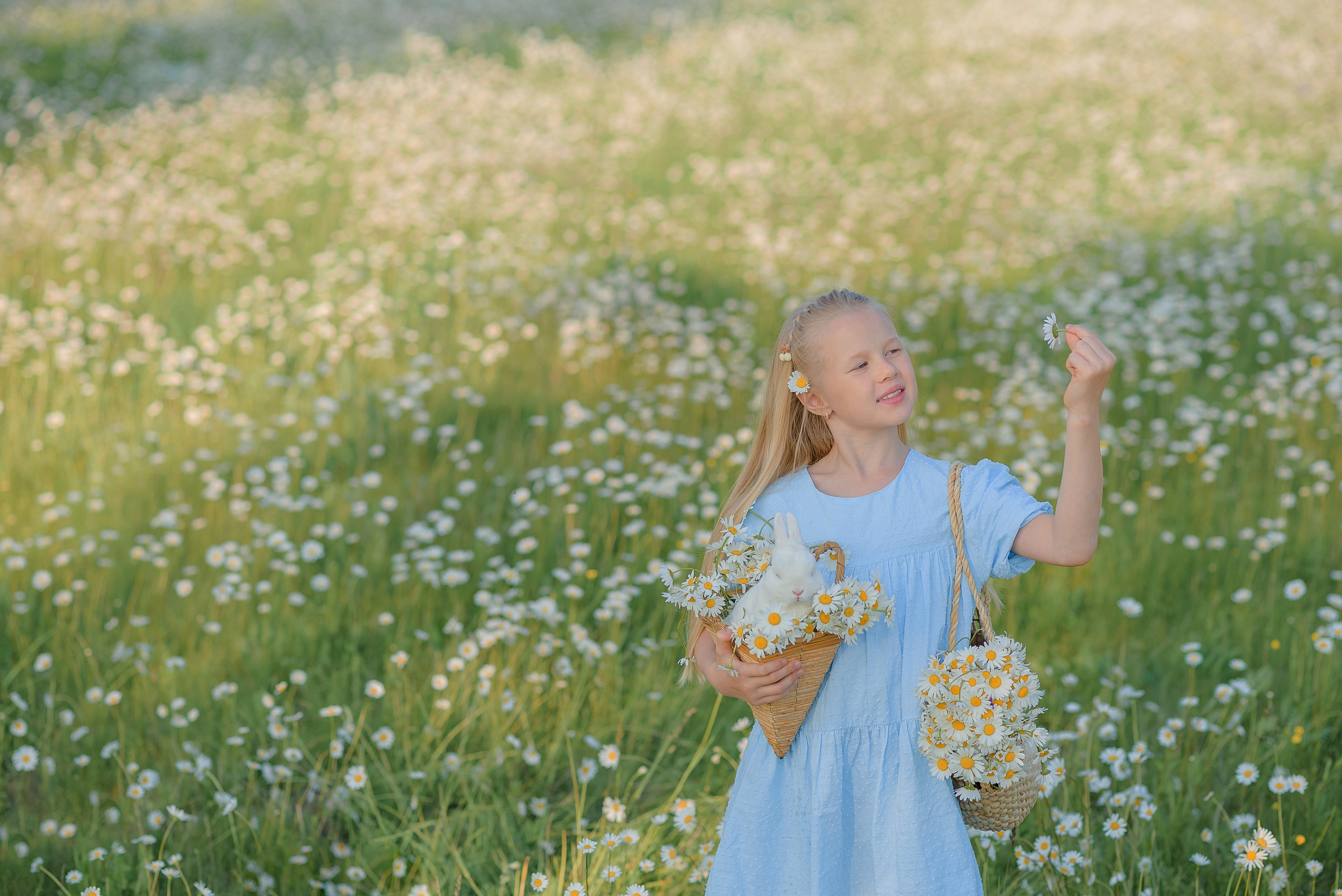 Ромашковое поле. Семейный фотограф в Рязани Мария Ермакова