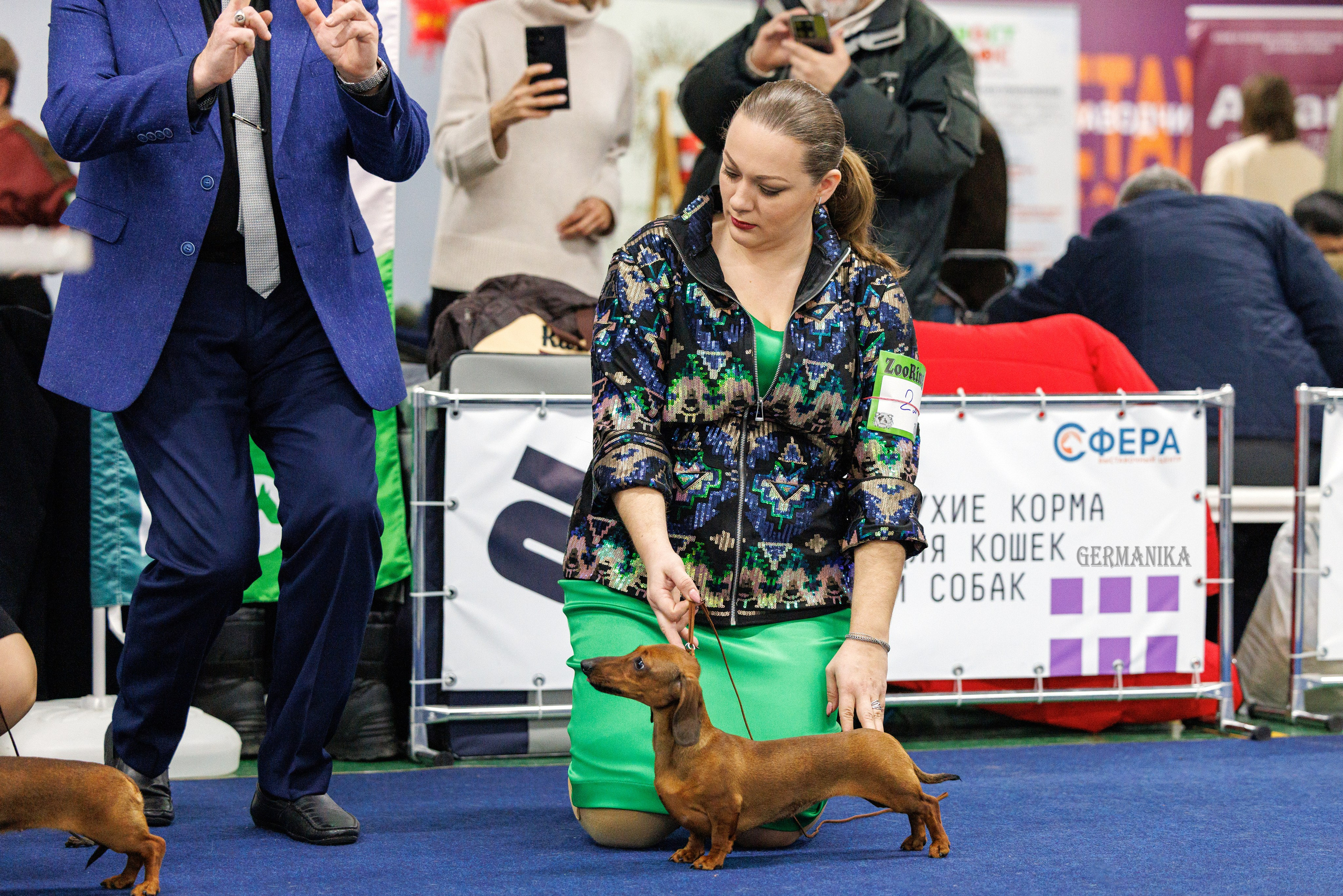 Крокус 10.02,Сфера 11.02.2024. Фотограф-анималист Юлия Германика