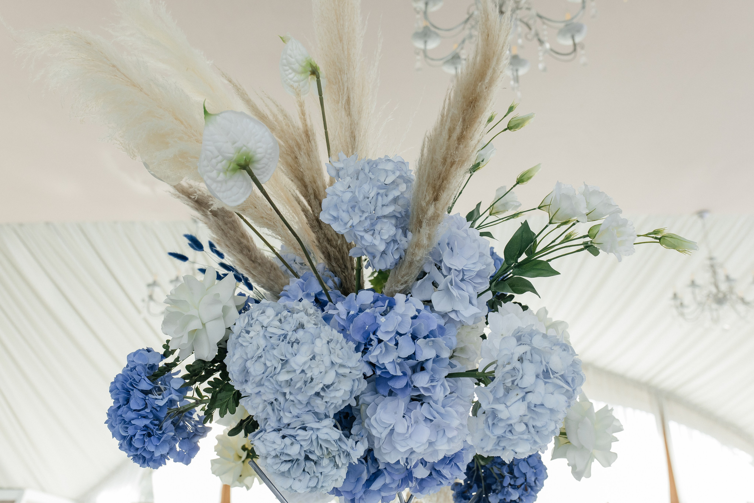 Валериан и Алина. Фотограф в Томске Ирина Павлуцкая