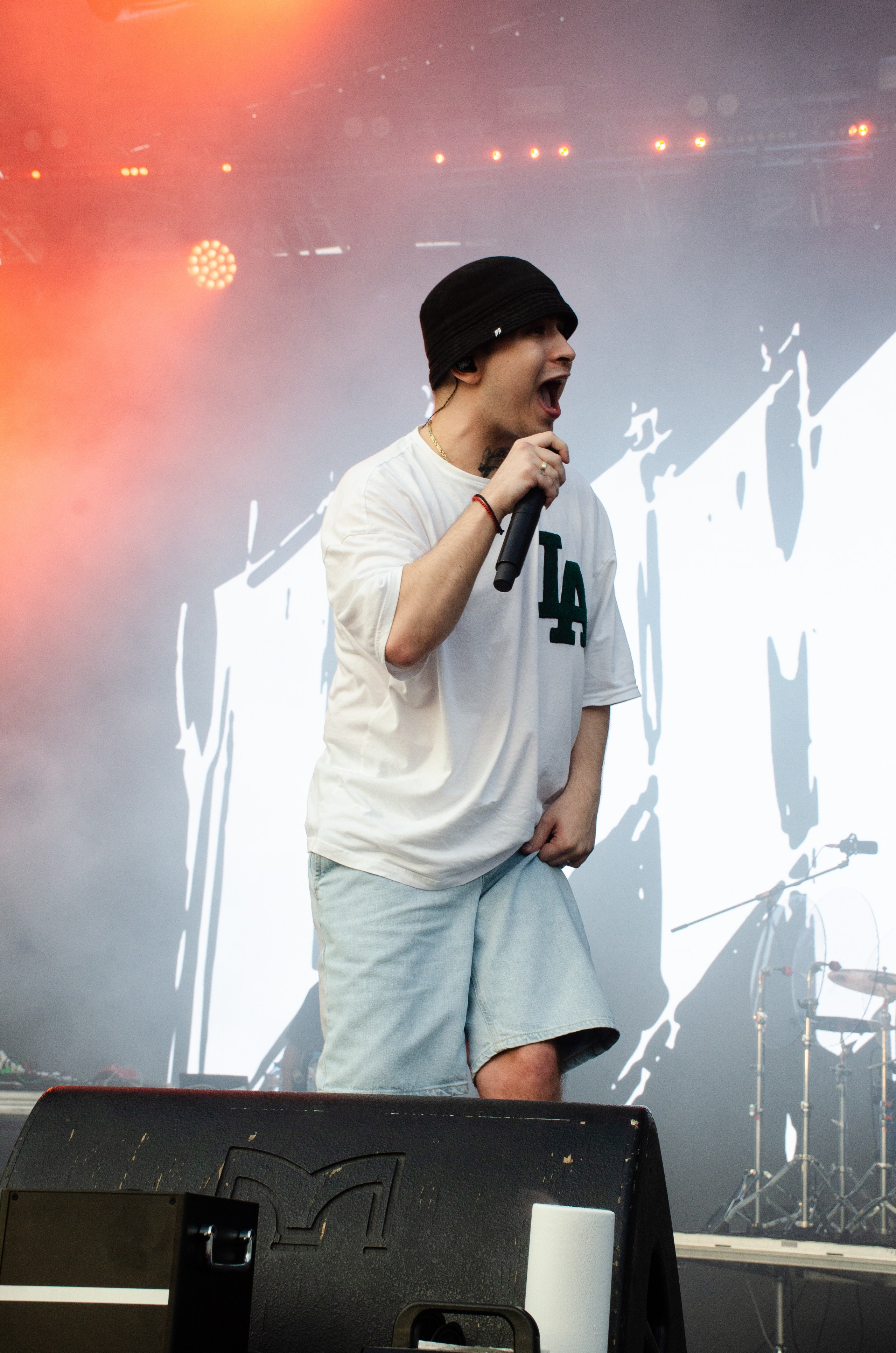 Черника Фест Ramil'. Фотограф Универсал в Новосибирске