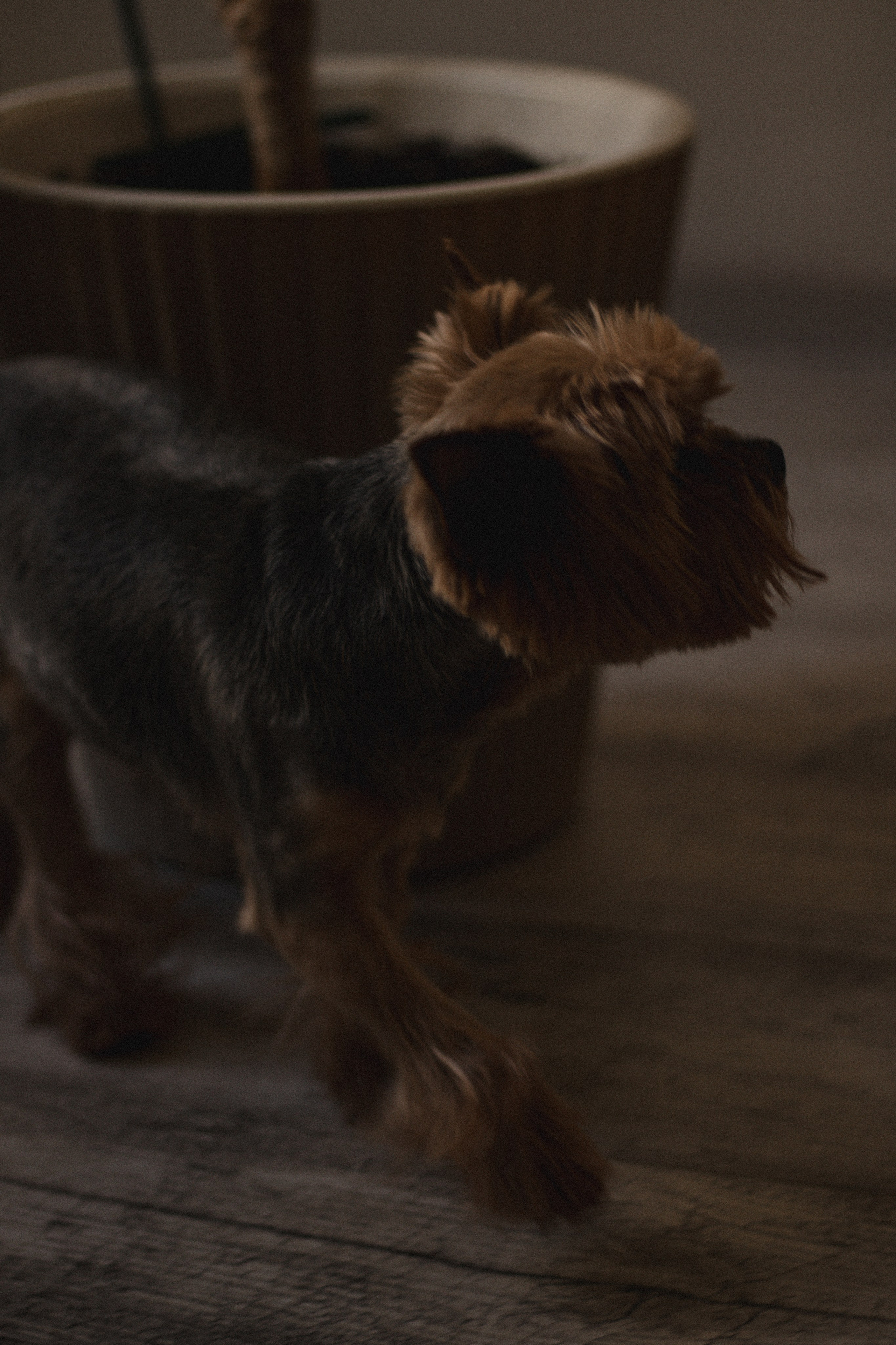 Nastya + Ivan + Fedya. Lusy Redina | Семейный Фотограф | Волгоград