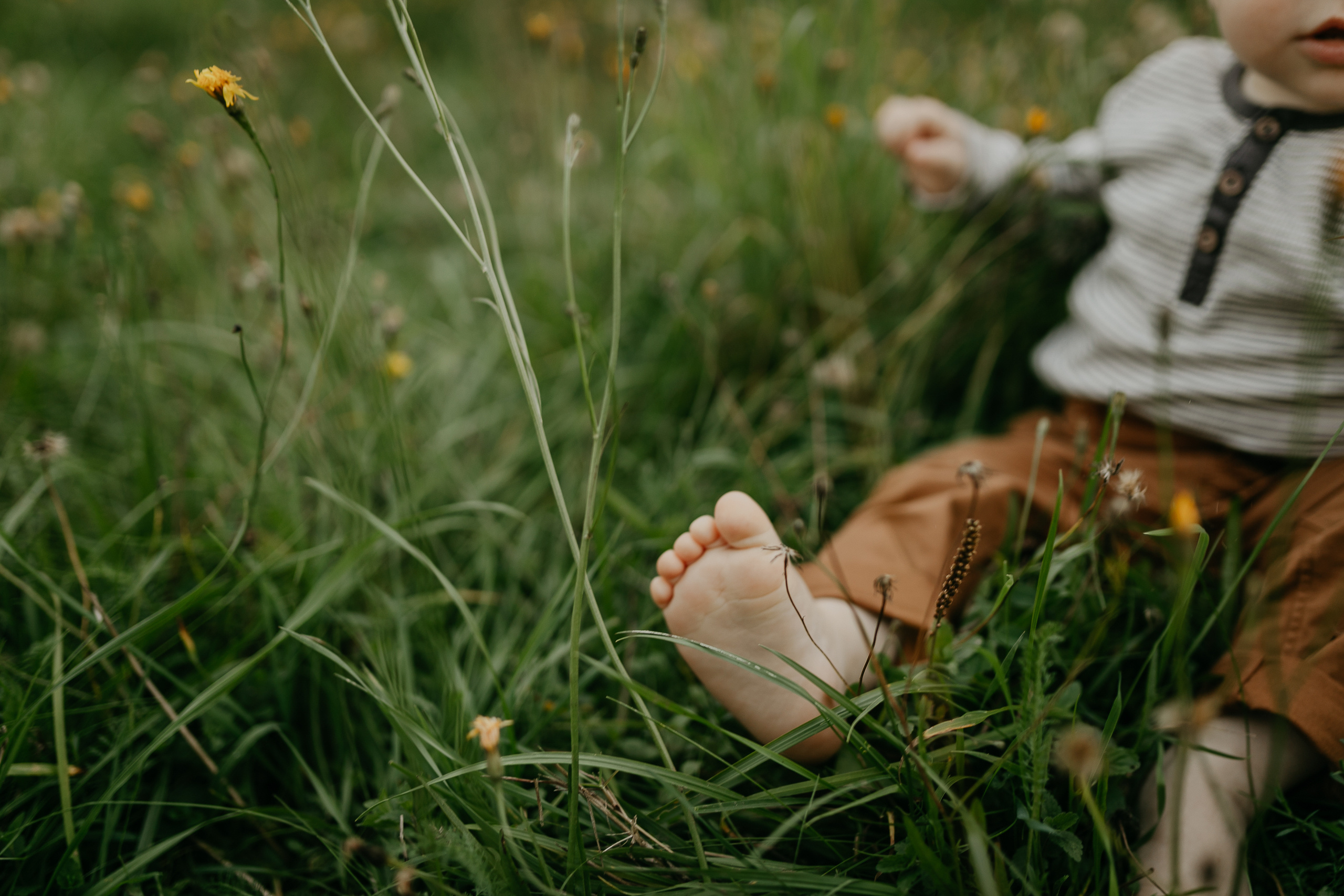 Семейная фотосессия в поле. Семейный фотограф Маша Тимофеева | Москва