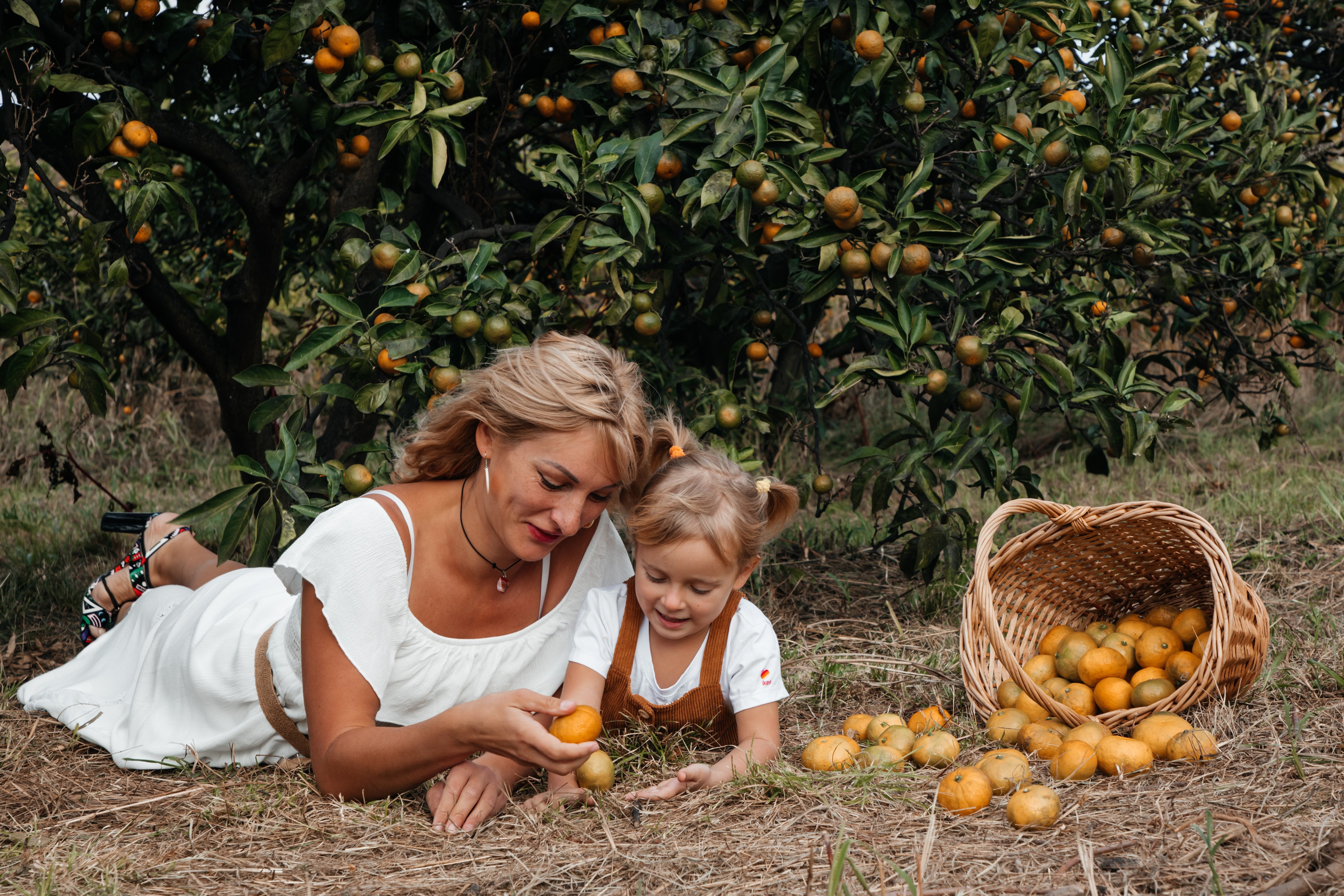 Мандариновое настроение. Фотограф Сочи, Екатеринбург, Евгения Ефимова