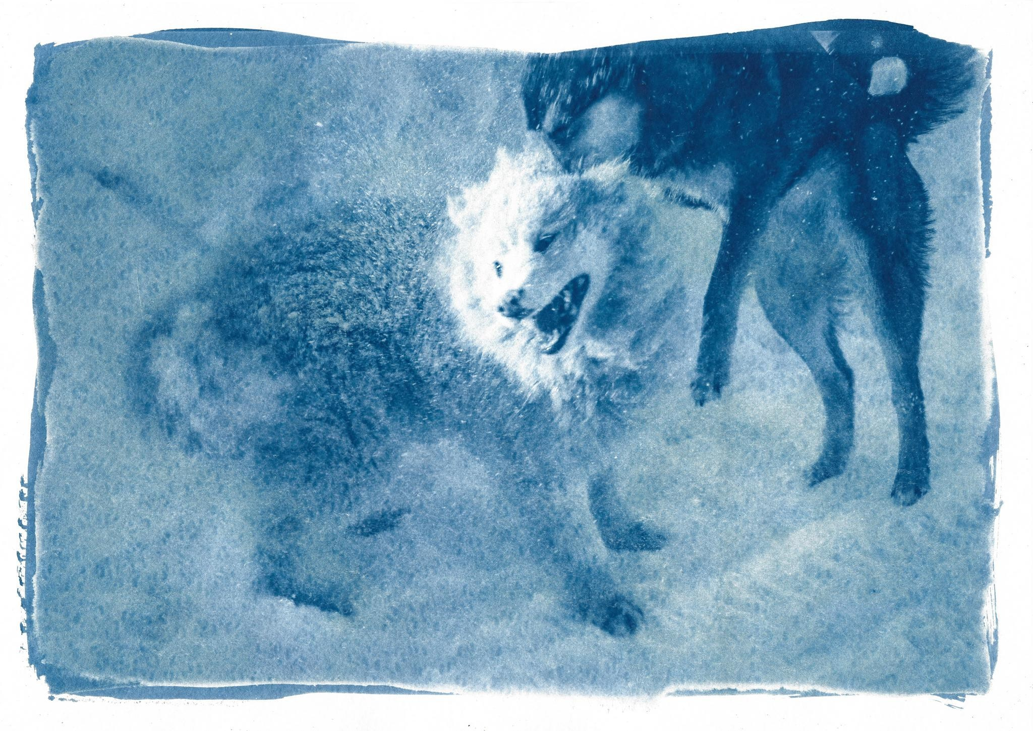 Дом снега. Shatohina.com