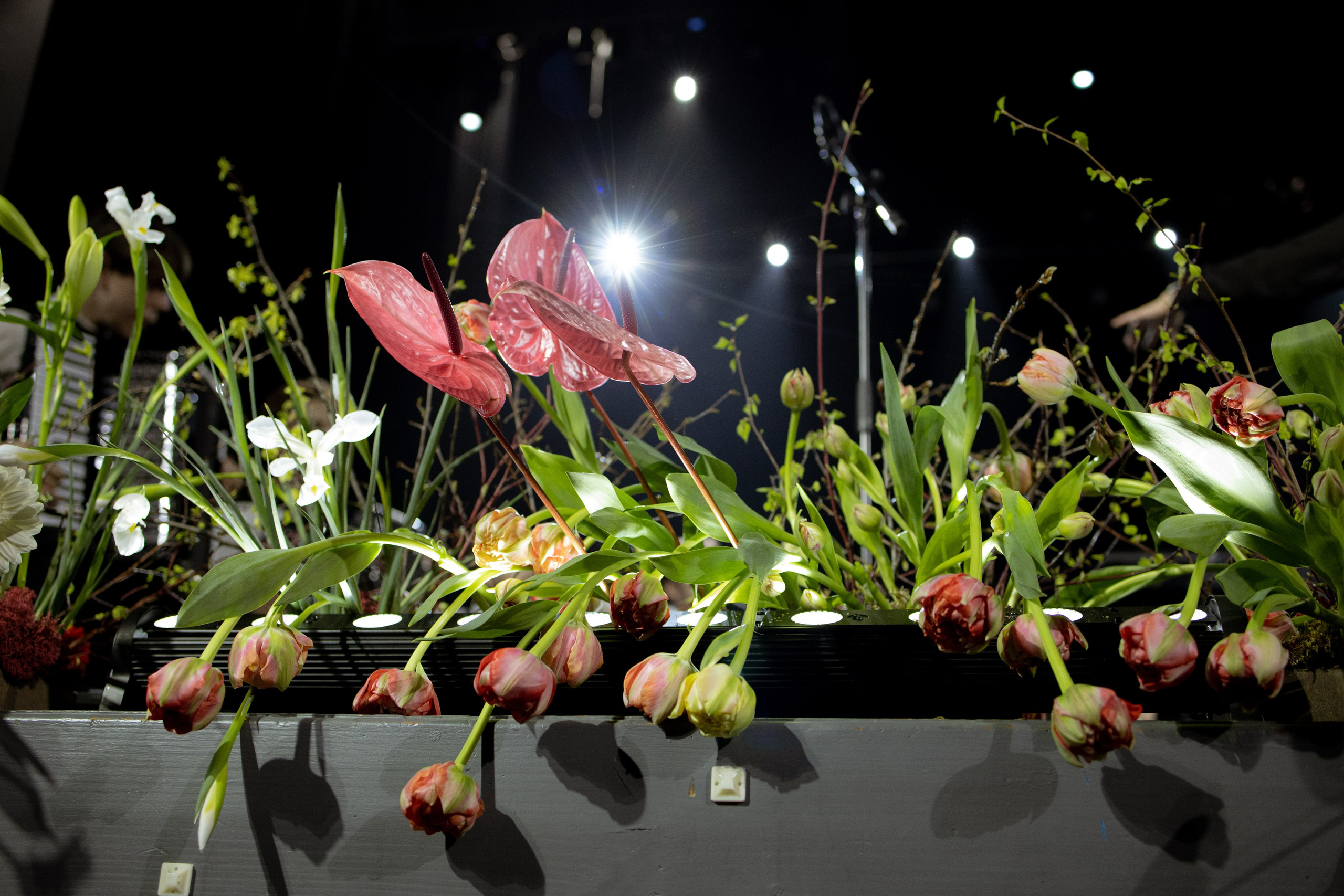 Оформление Отчетного концерта Музыкальной школы Глазунова. Оформление свадеб, декор свадеб Вера Маркова, Москва