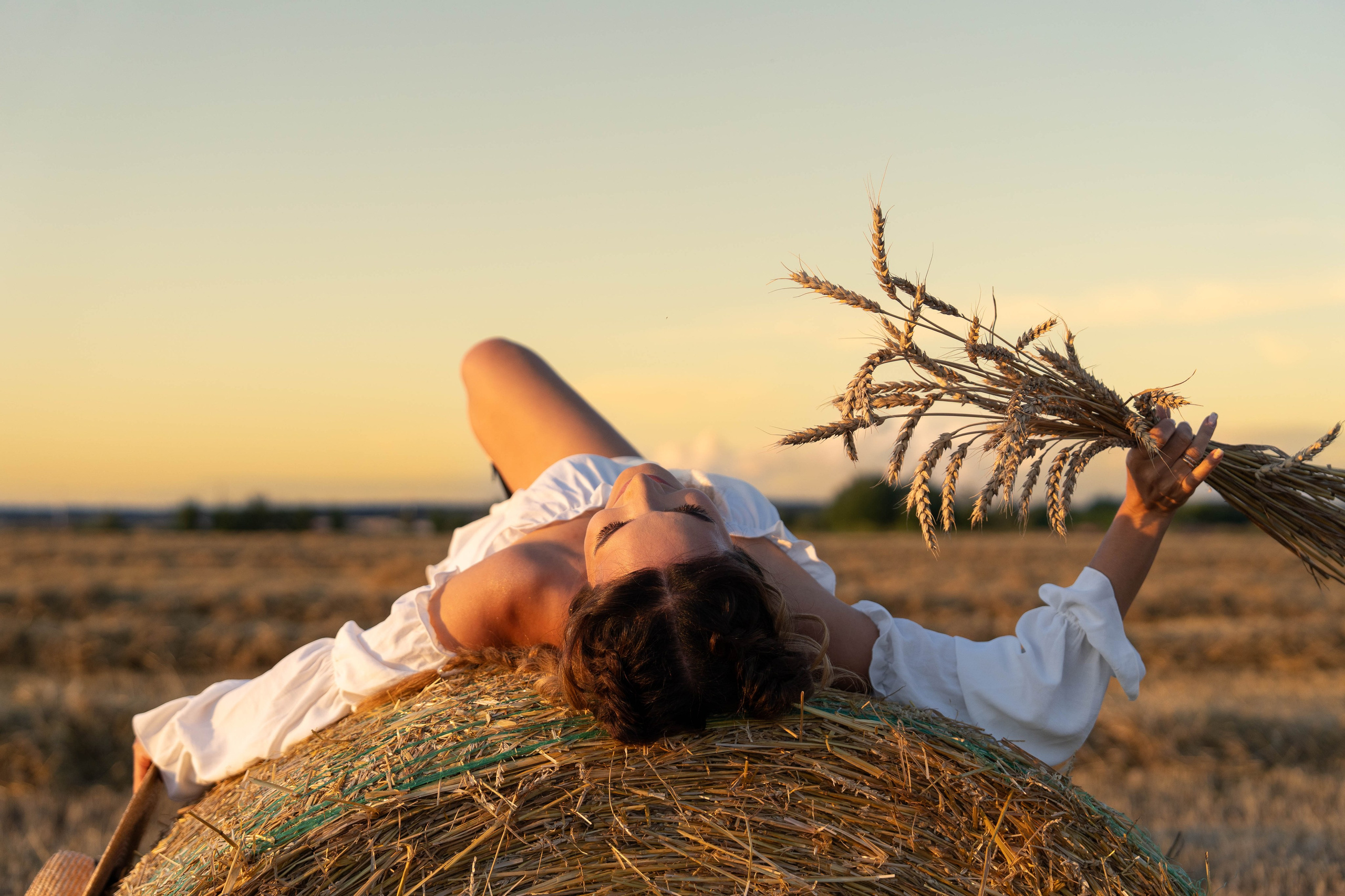 Пшеничные поля. Главная