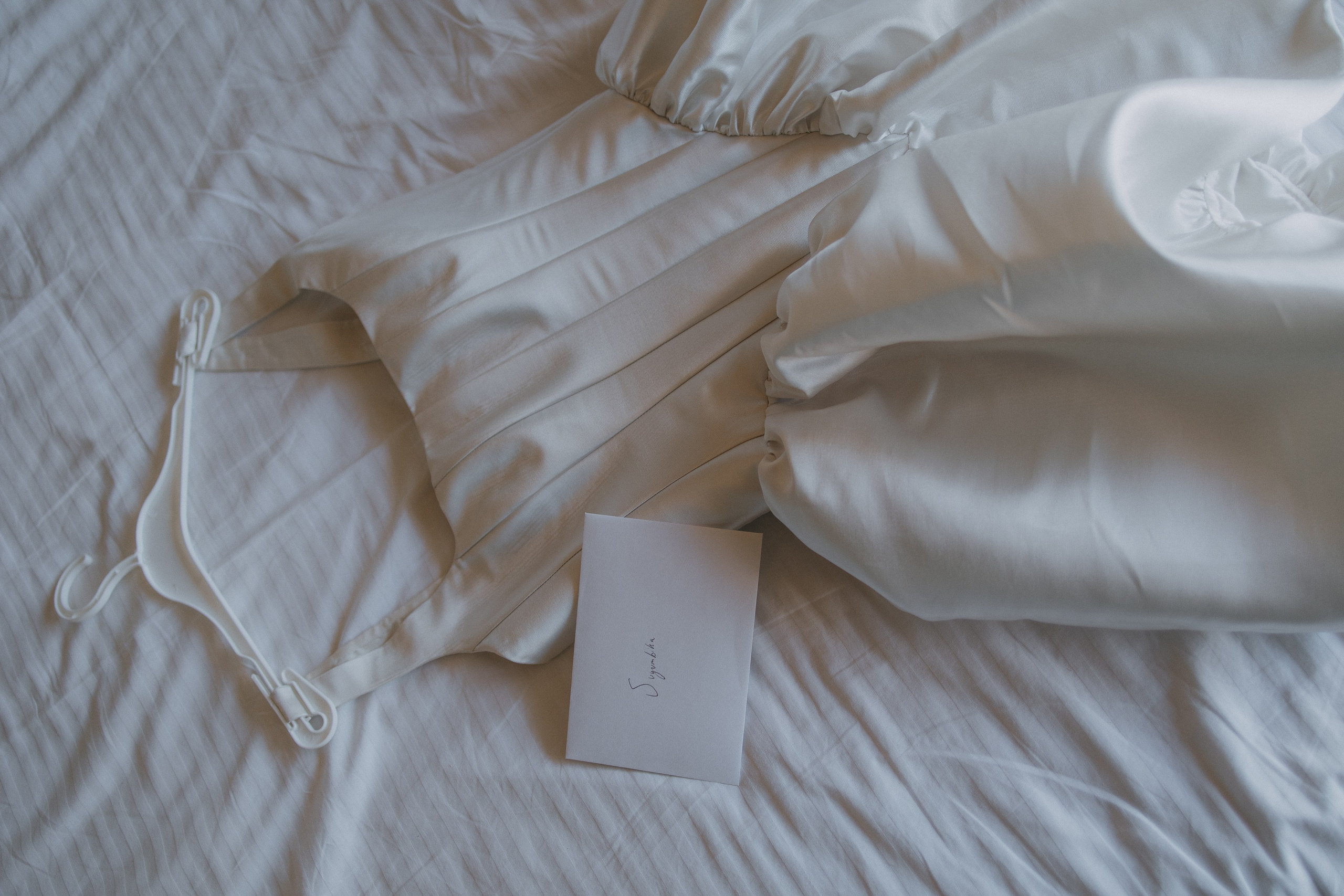 Крокус. Alesya Gee Photographer Uzbekistan