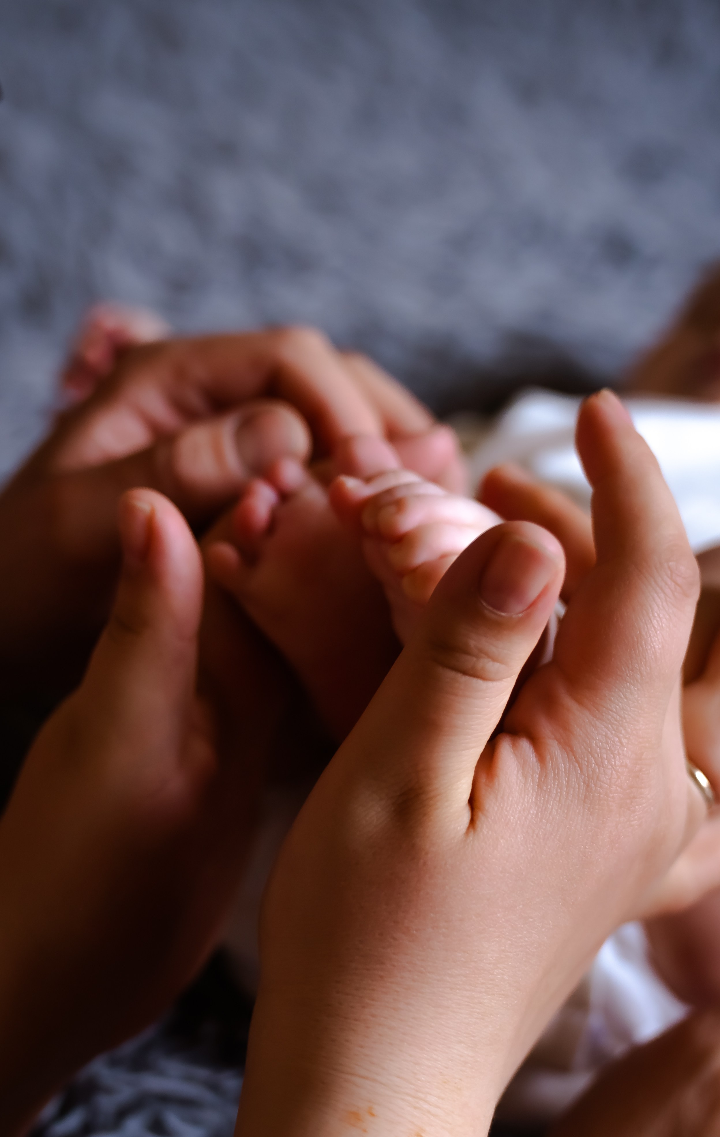 Кроха. Фотограф в Ростове-на-Дону Анна Малахова