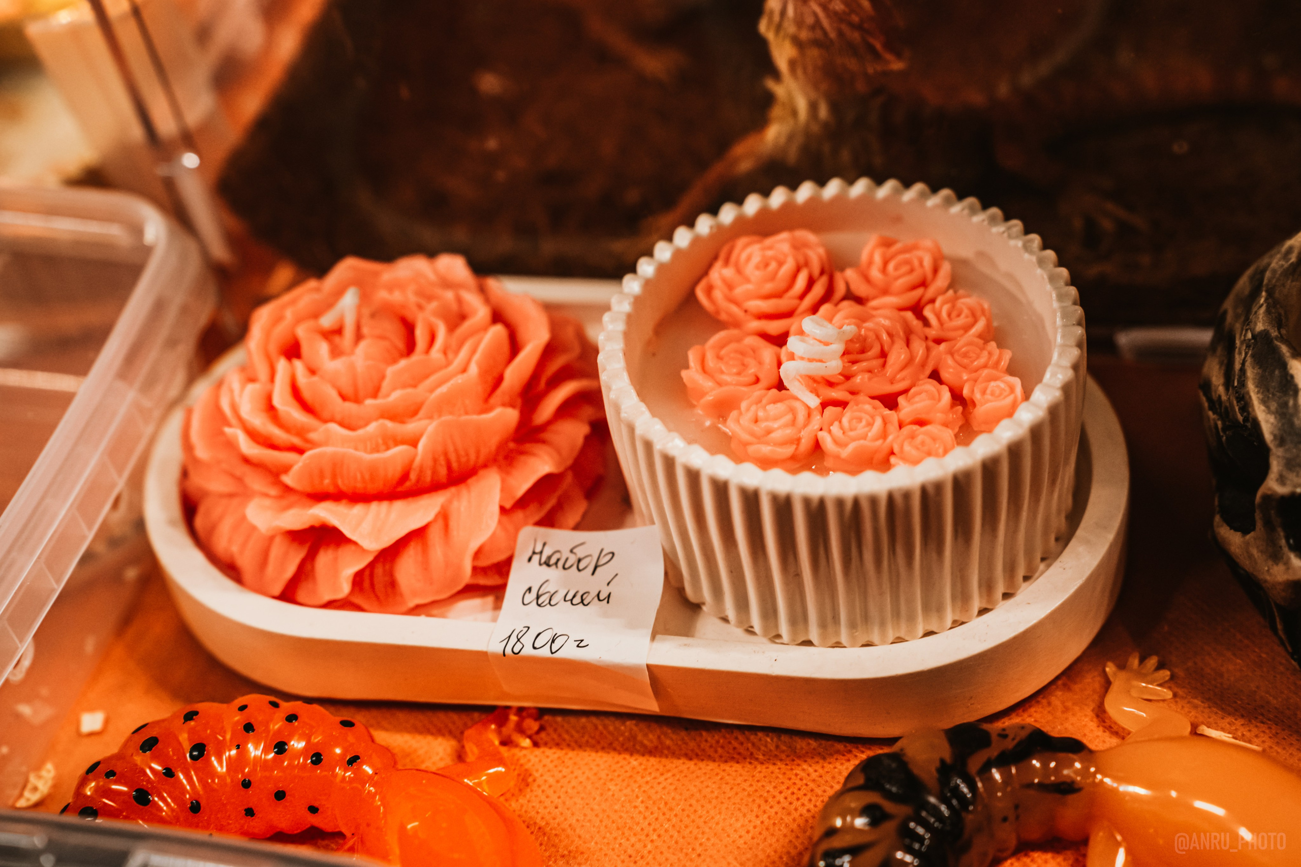 Рептилиум (ручная работа). Репортажный фотограф Анастасия Рубцова