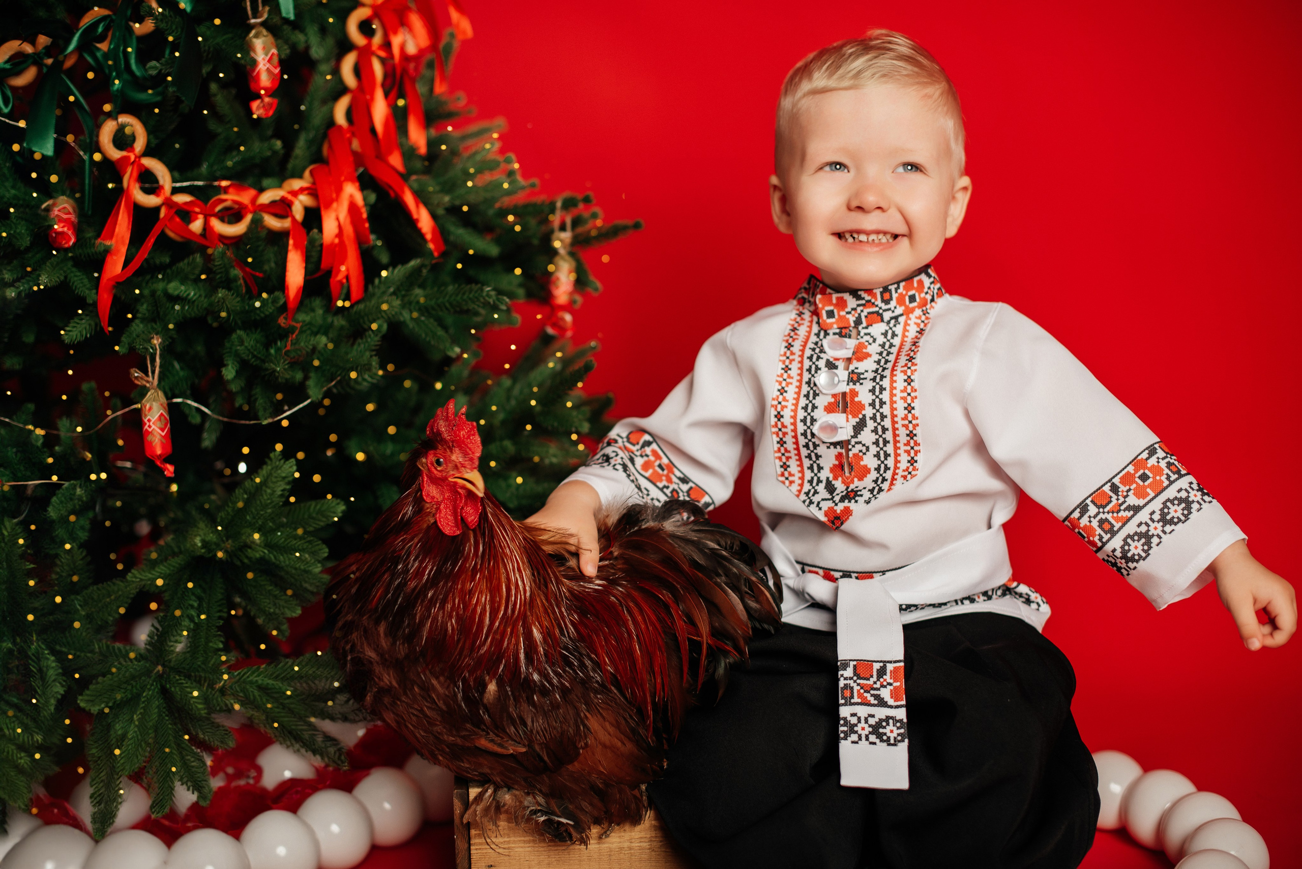 Новый год. Фотограф новорожденных и беременности Сергиев Посад Усачева Ирина