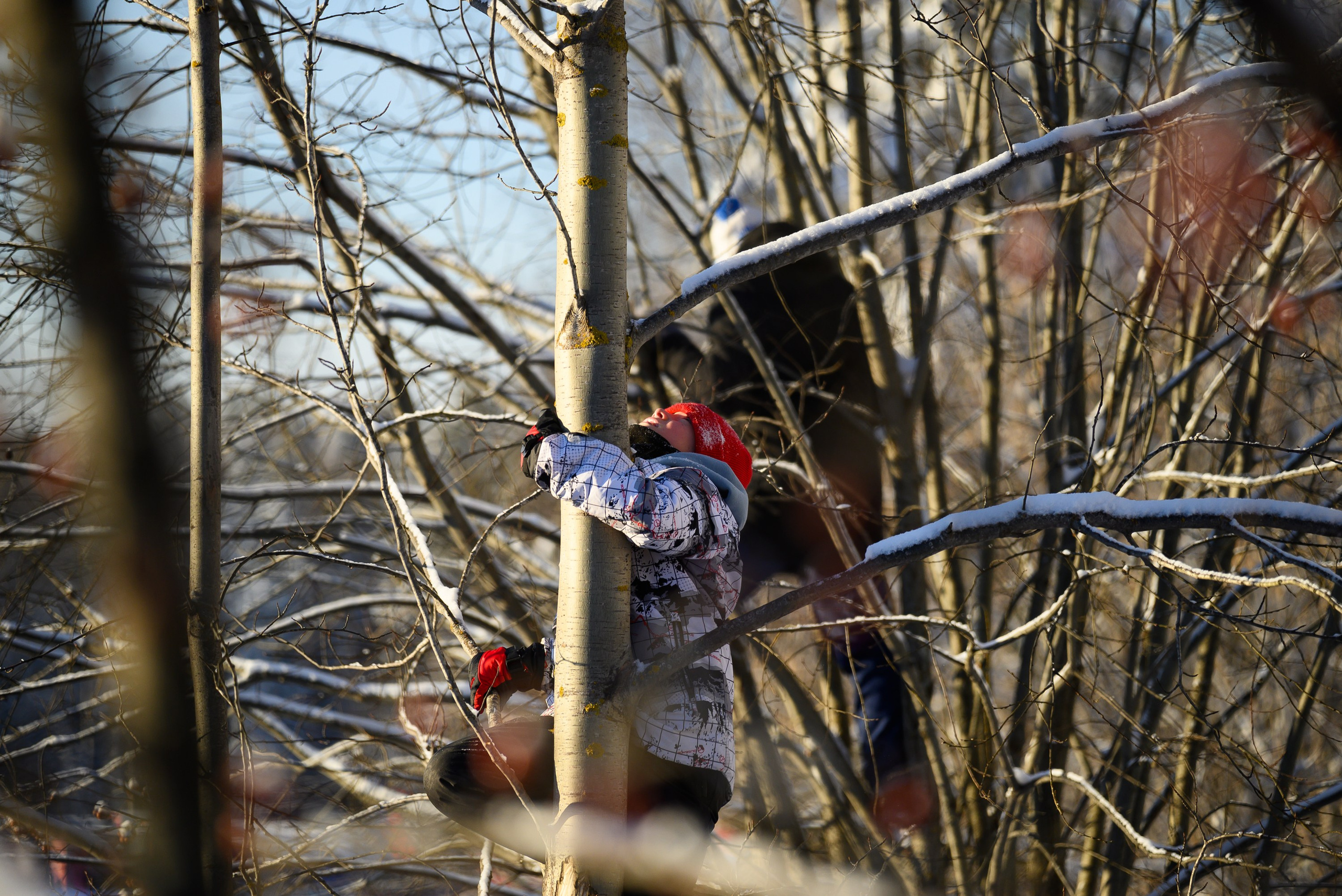 Лыжные гонки. Свадебный фотограф Ижевск Петр Шишков