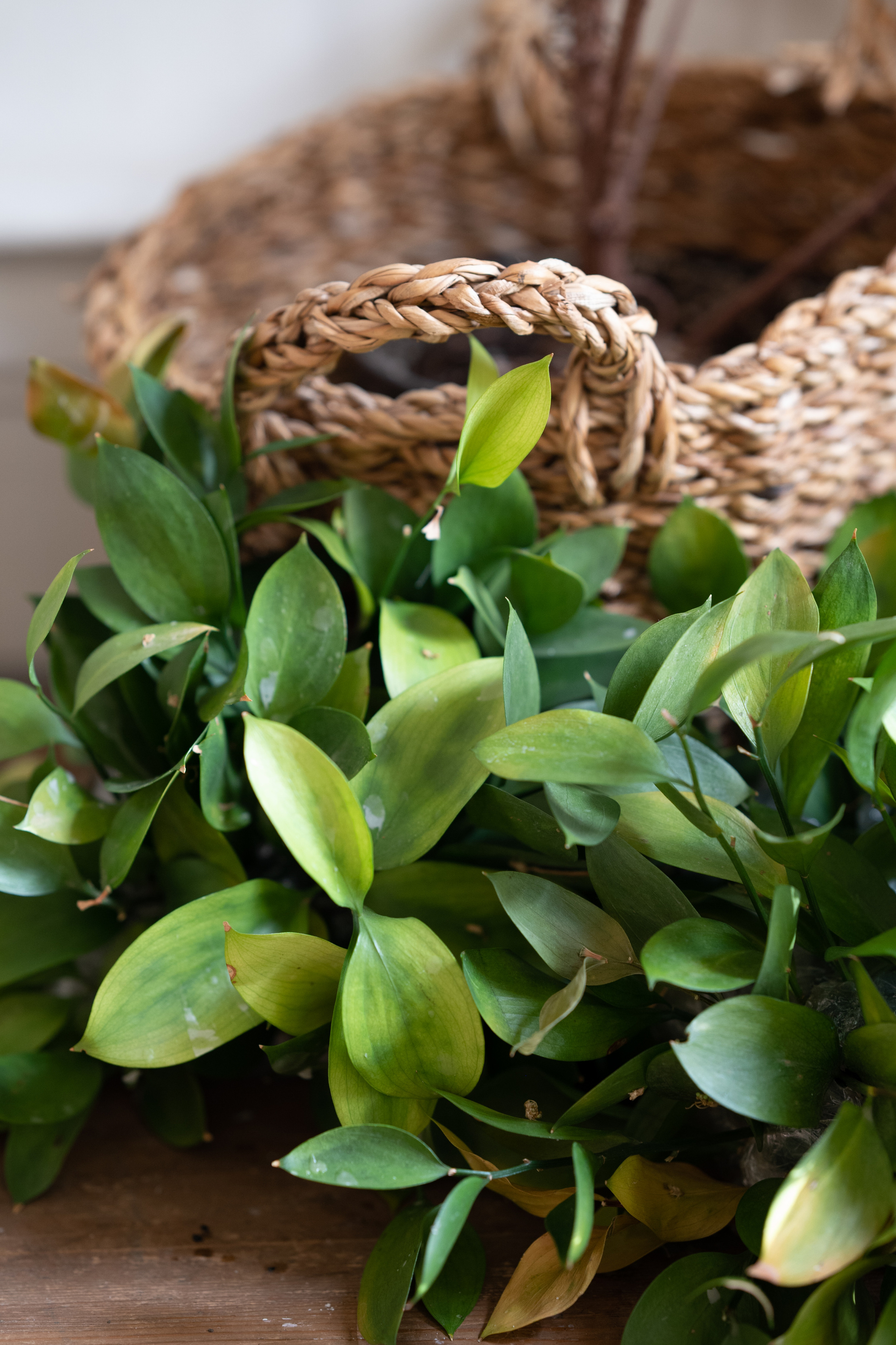 Алсу & Арсений. Свадебный и семейный фотограф Тюмень Екатеринбург Москвина Алёна