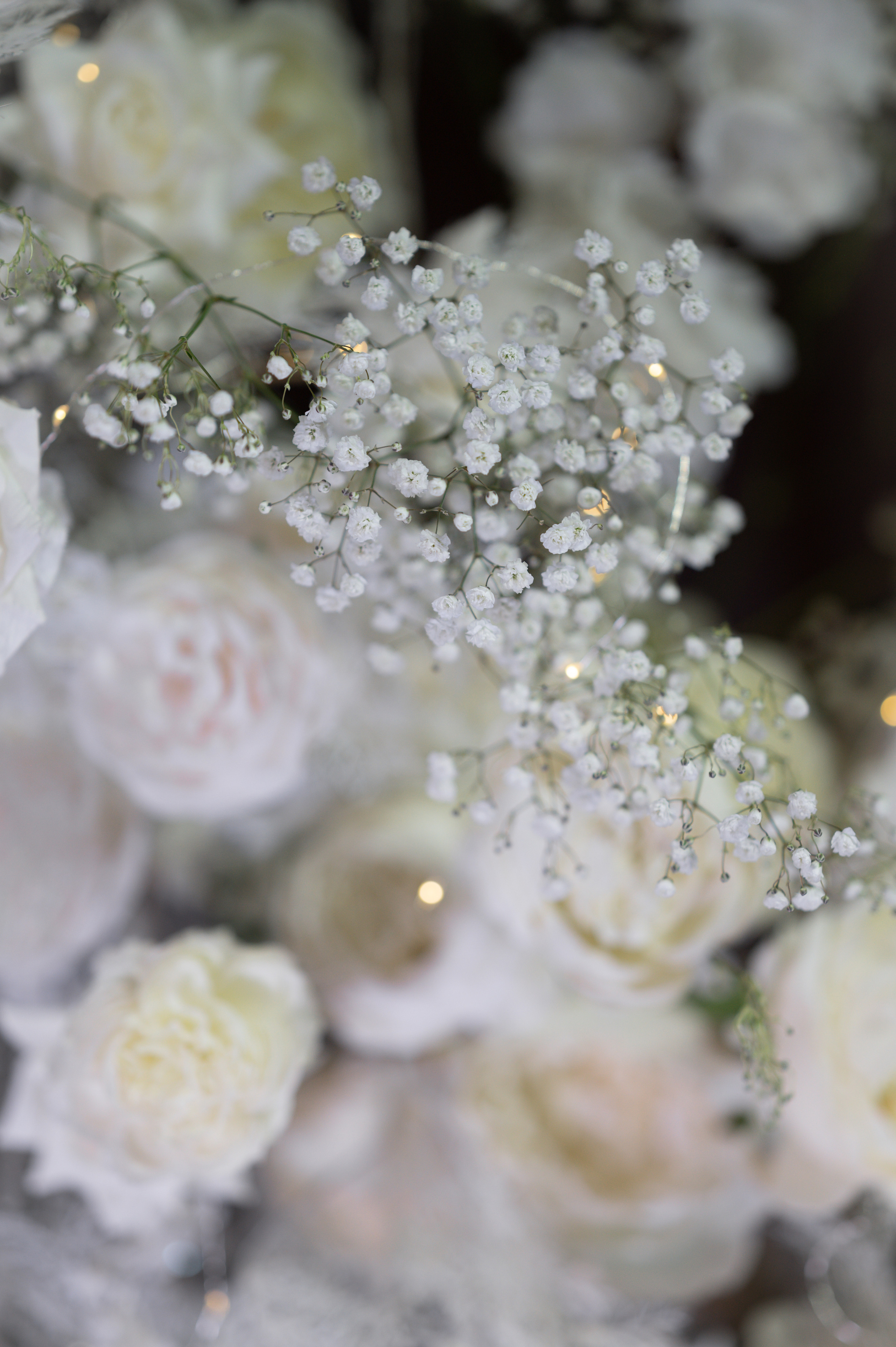 Виктория & Артем. Свадебный и семейный фотограф Тюмень Екатеринбург Москвина Алёна