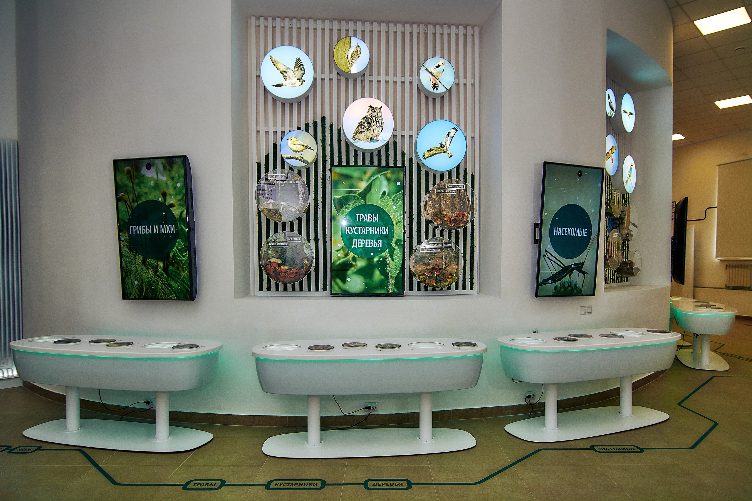 Интерьерная съемка Визит-центр Национальный парк «Кисловодский». Константин Кордонский | Интерьерный и food-фотограф в Кисловодске и КМВ