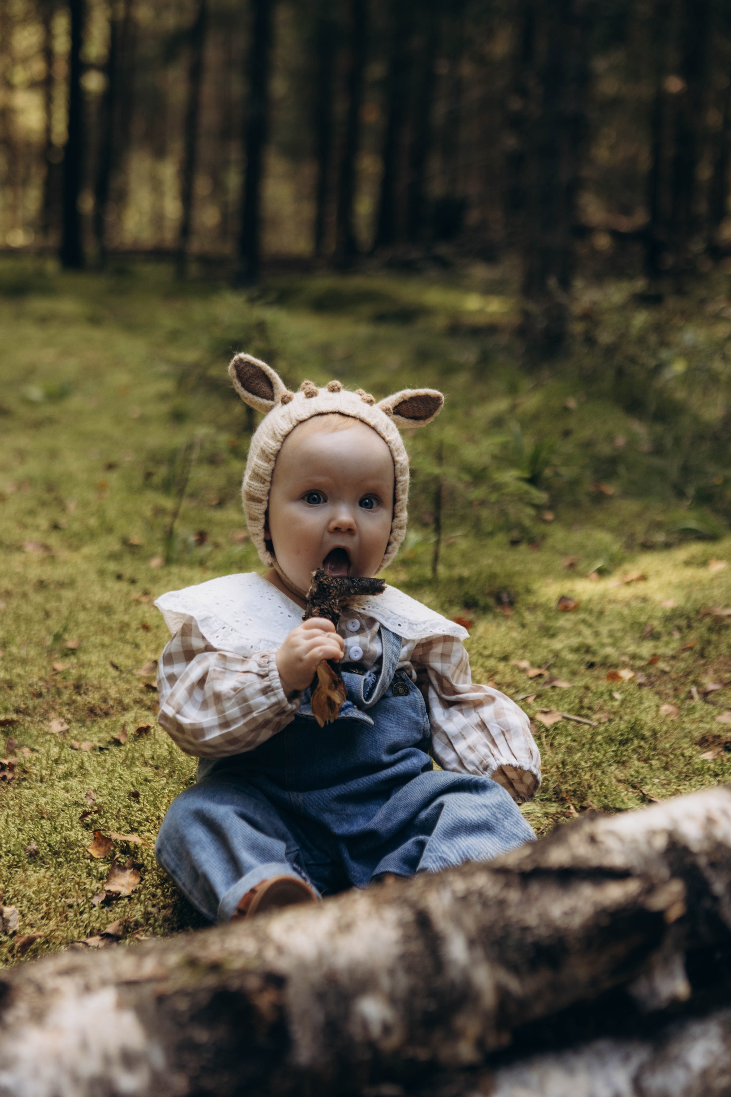 Лесная история. Наталья Косьянова. Ваш фотограф. Москва