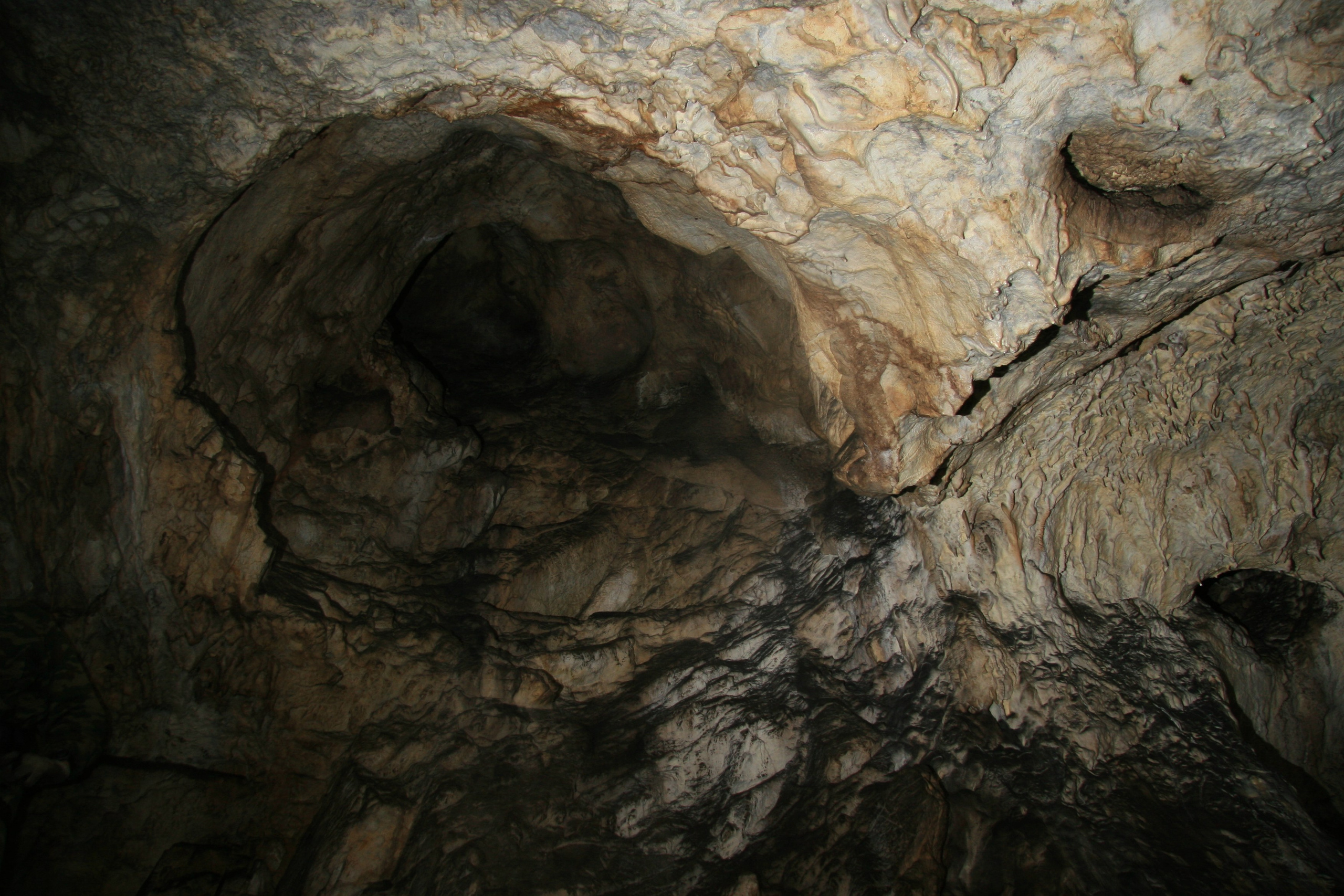 Фото Природы Забайкалья. Студия Максима Белослюдцева
