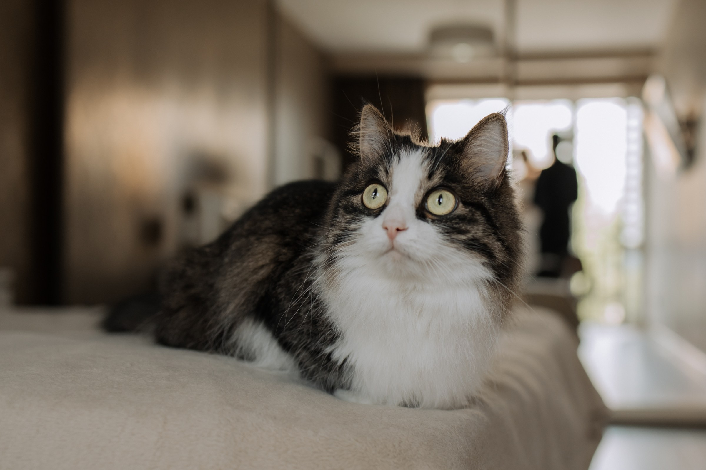 Жаргал и Софья. Фотограф Улан-Удэ