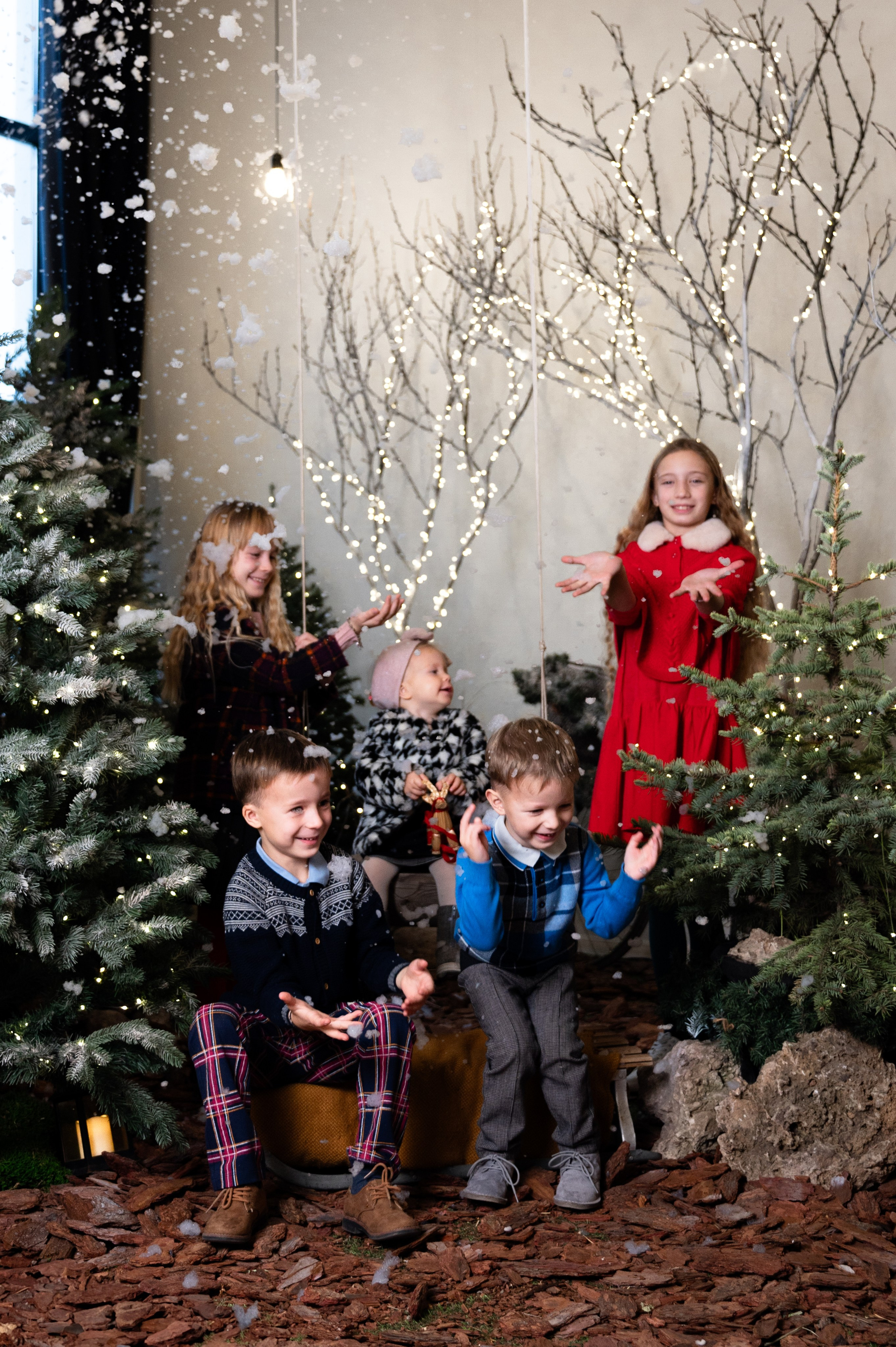 Гномики. Главная