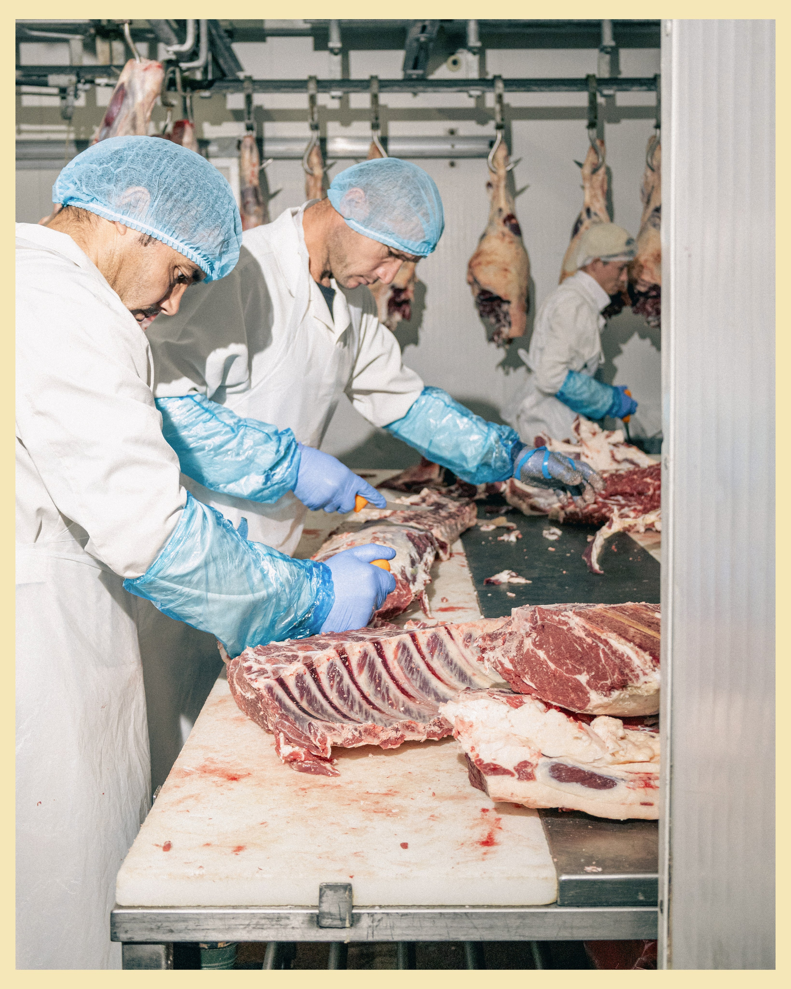 HBP x VANO. Ivan Petrov photographer