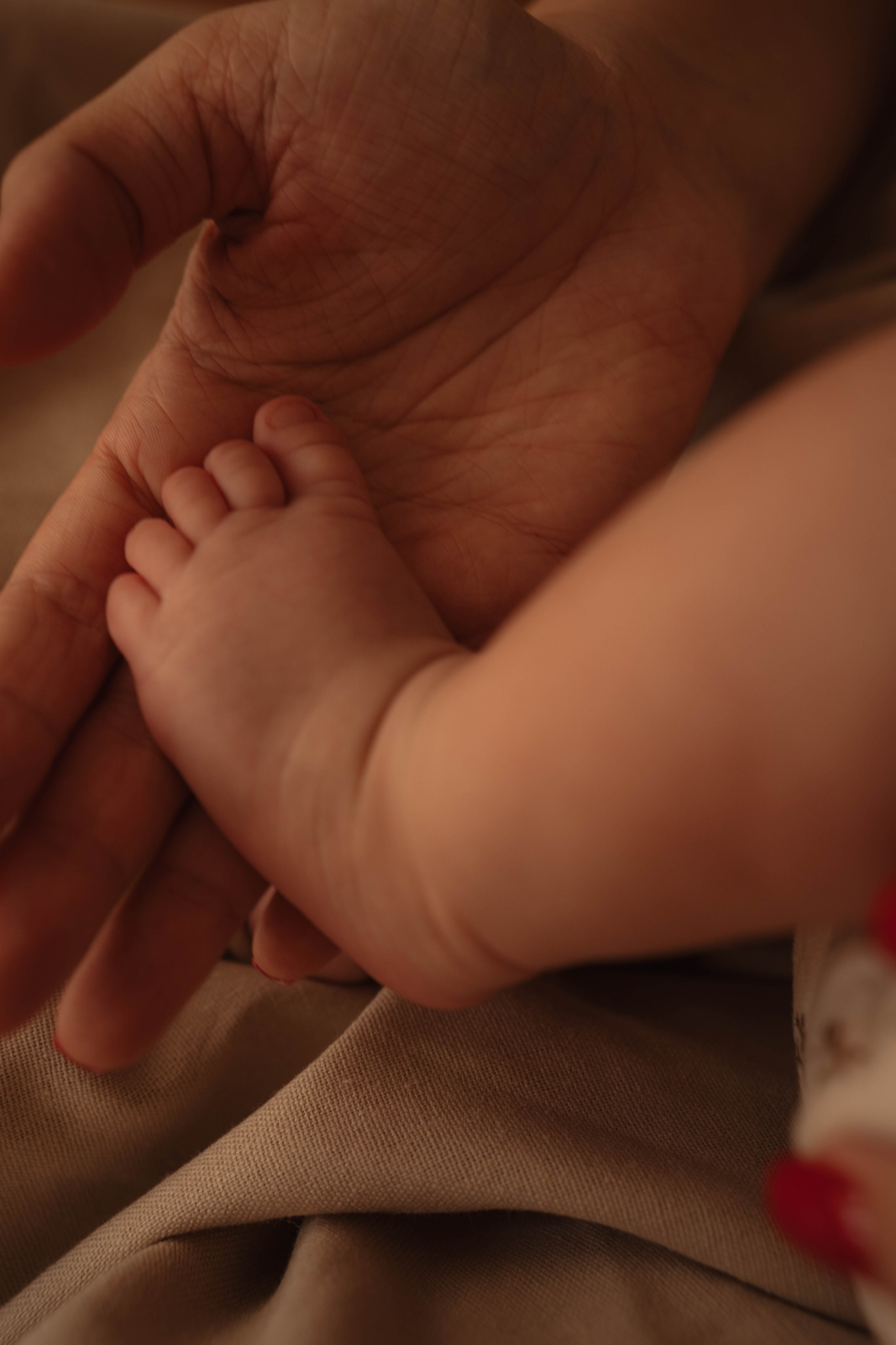 Аврора и ее семья. Фотограф в Новосибирске Диана Ильиных