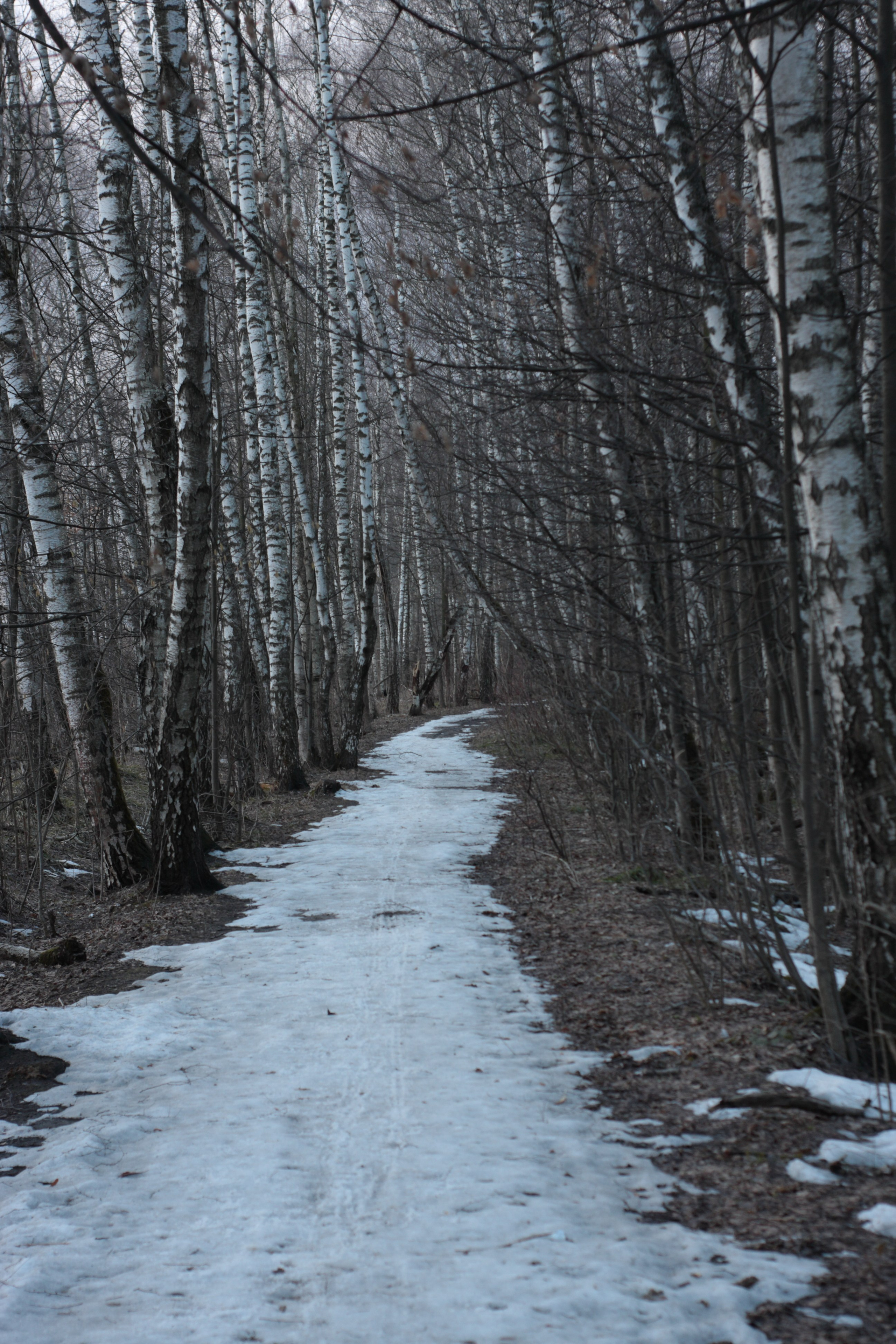 Старое природное, отбирала Katamount (Катерина Горохова). Главная