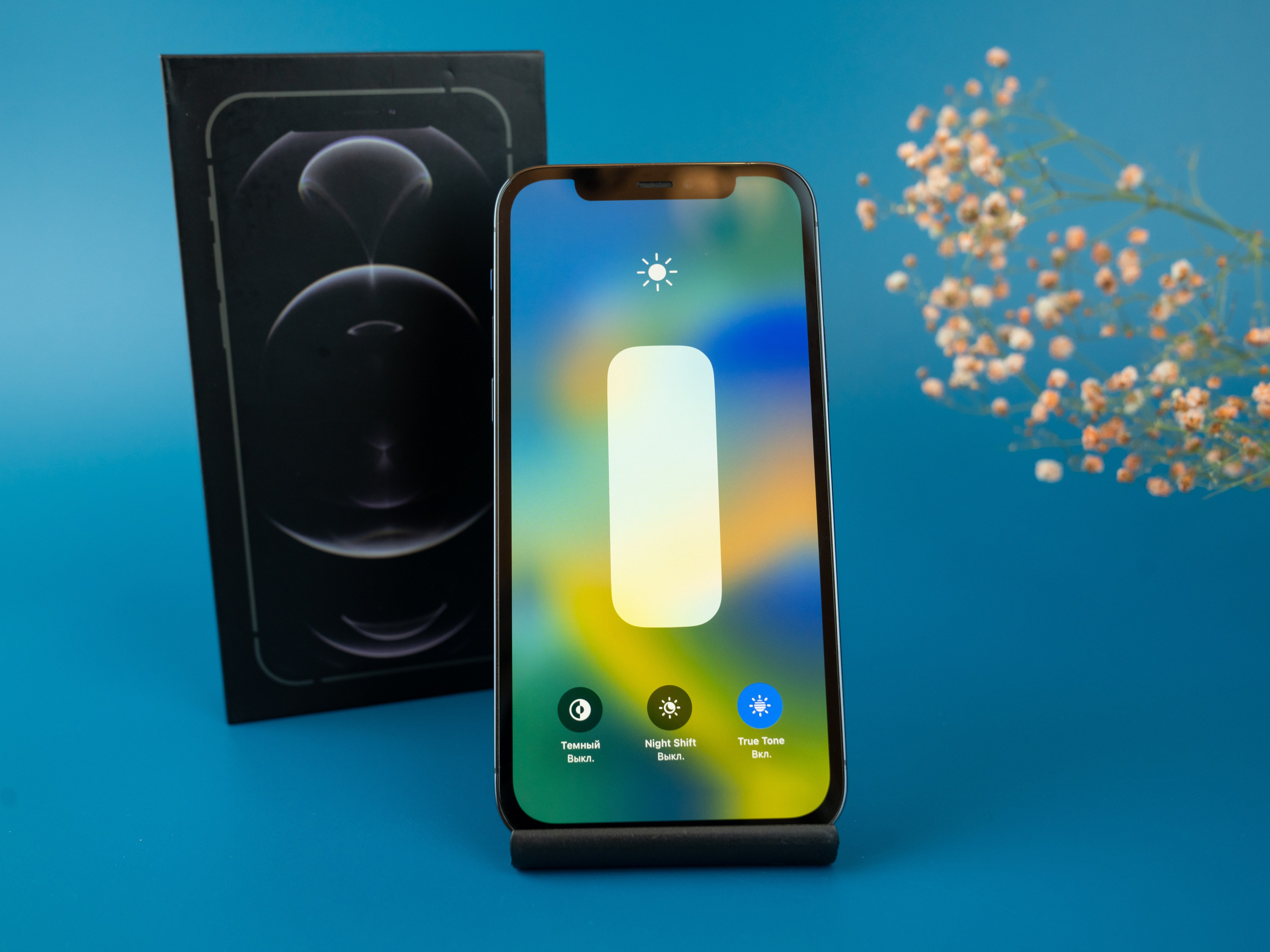 IPhone. Фотограф в Санкт-Петербурге Мария Александрова