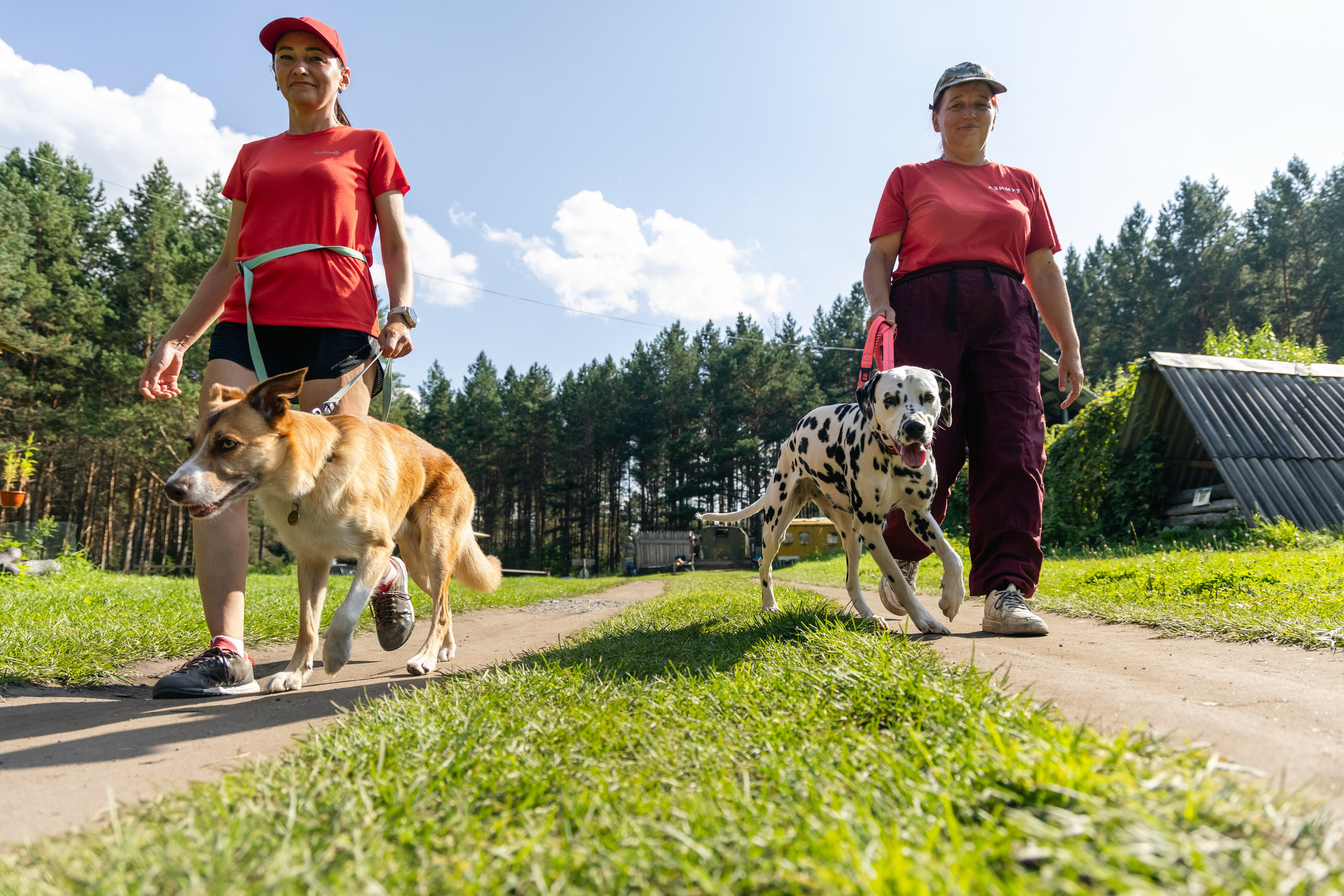 VI ОТКРЫТЫЕ КИНОЛОГИЧЕСКИЕ СОРЕВНОВАНИЯ. ЧЕЛЯБИНСКАЯ ОБЛАСТЬ 2025. Репортажный фотограф Наталья Лапцевич