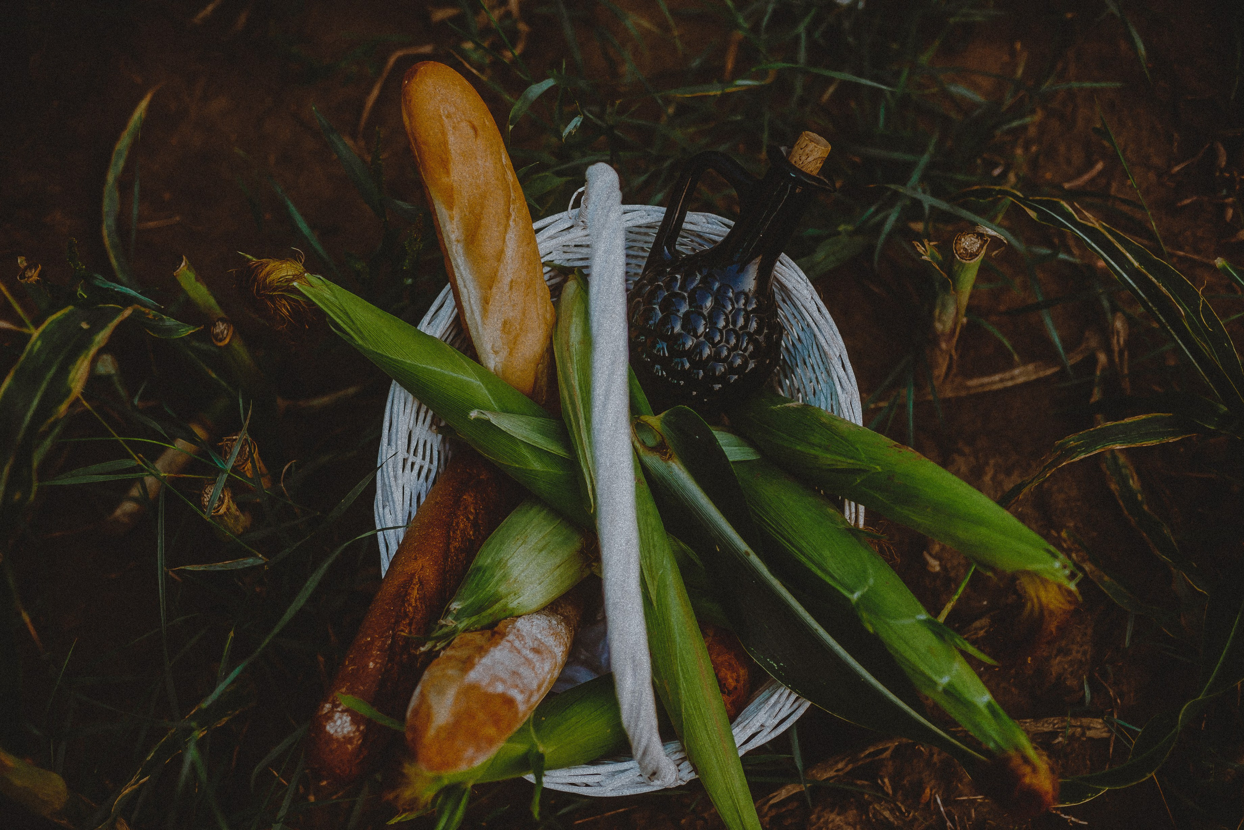 Кукуруза. Свадебный и семейный фотограф в Москве Сажина Кристина КиМ. Свадебный оператор в Москве Сажин Максим