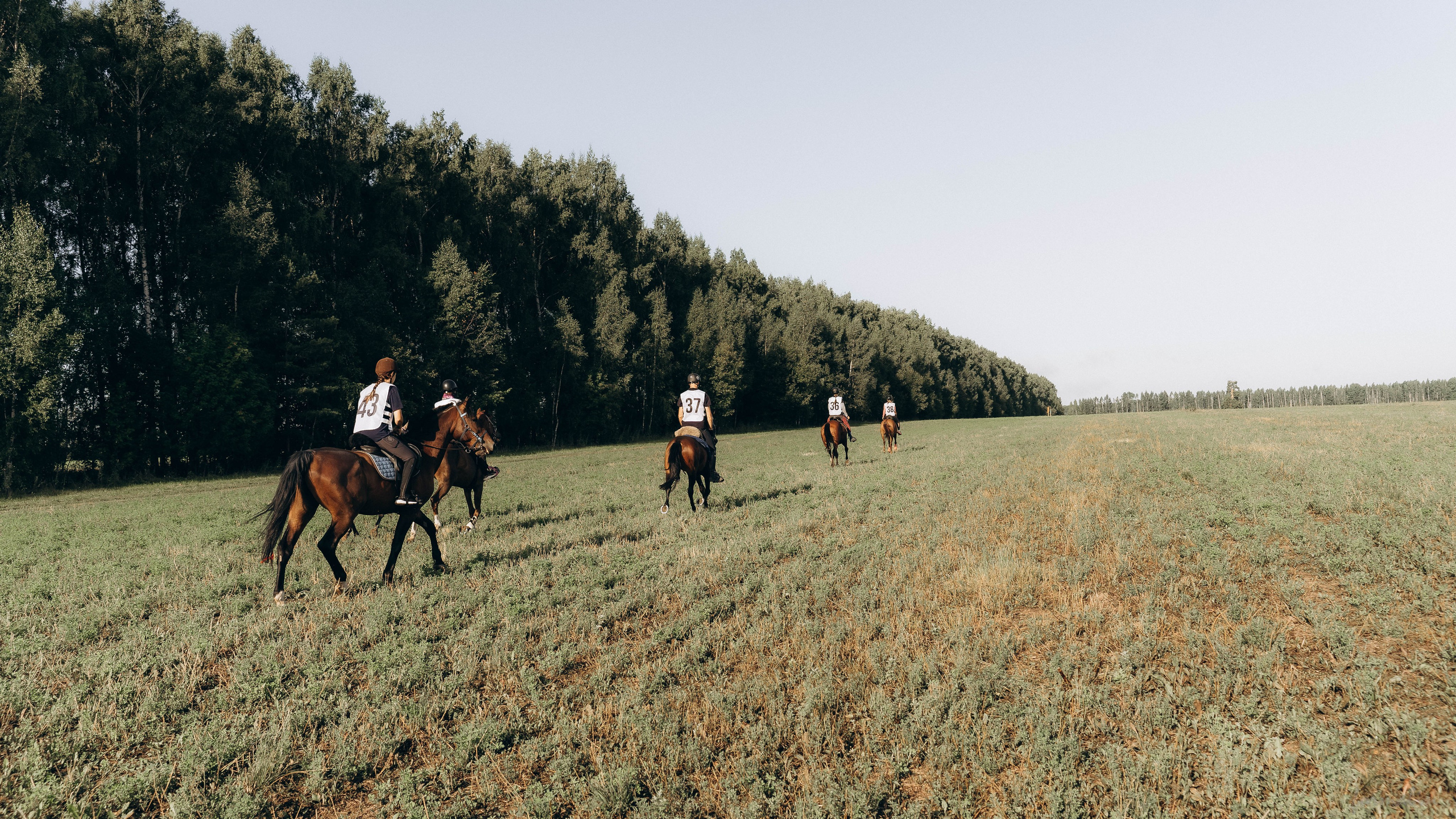 День Коня. Алиса Никитцова | Фотограф в Казани