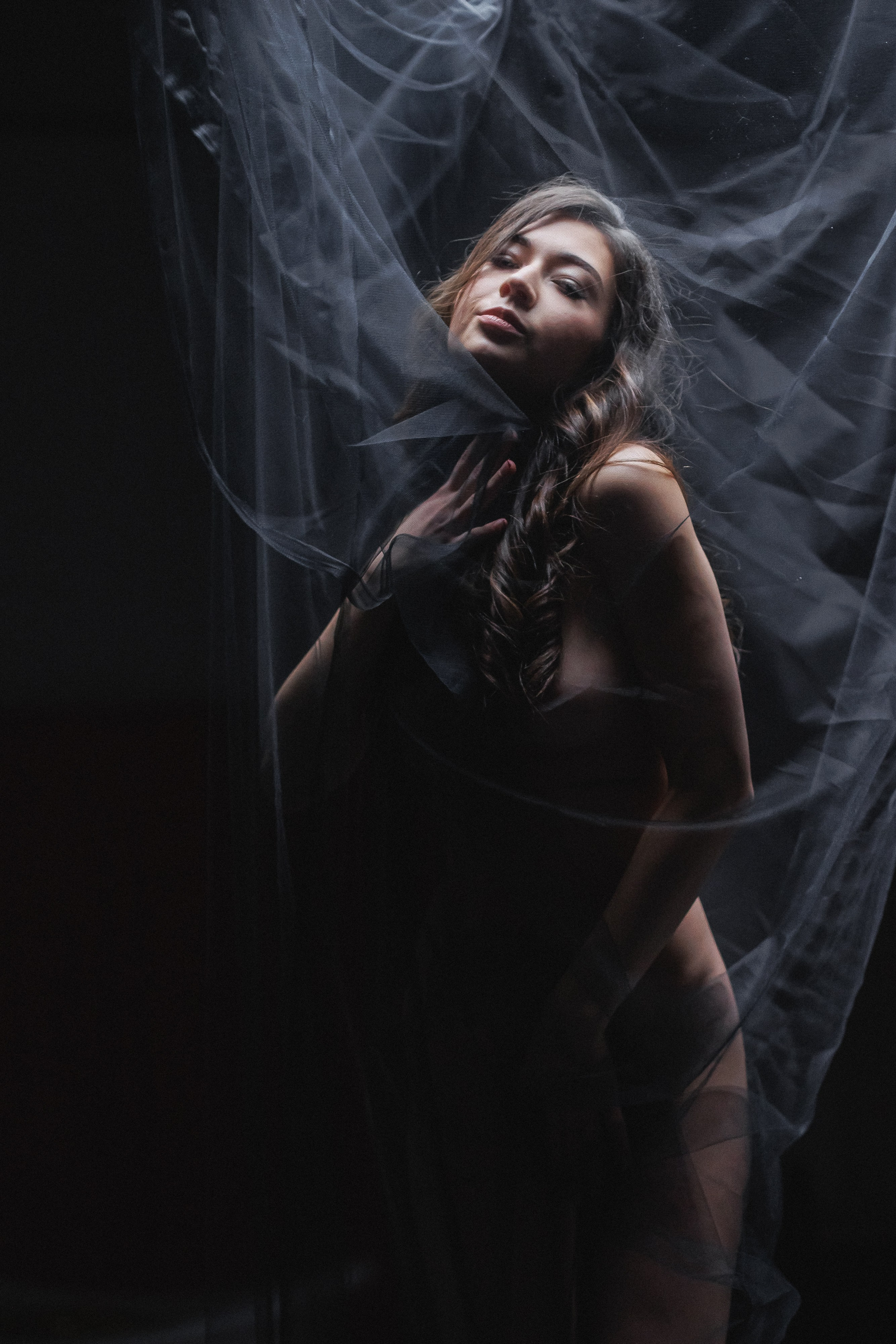 Алана. Фотограф Шейдаев Эмин г. Волгоград