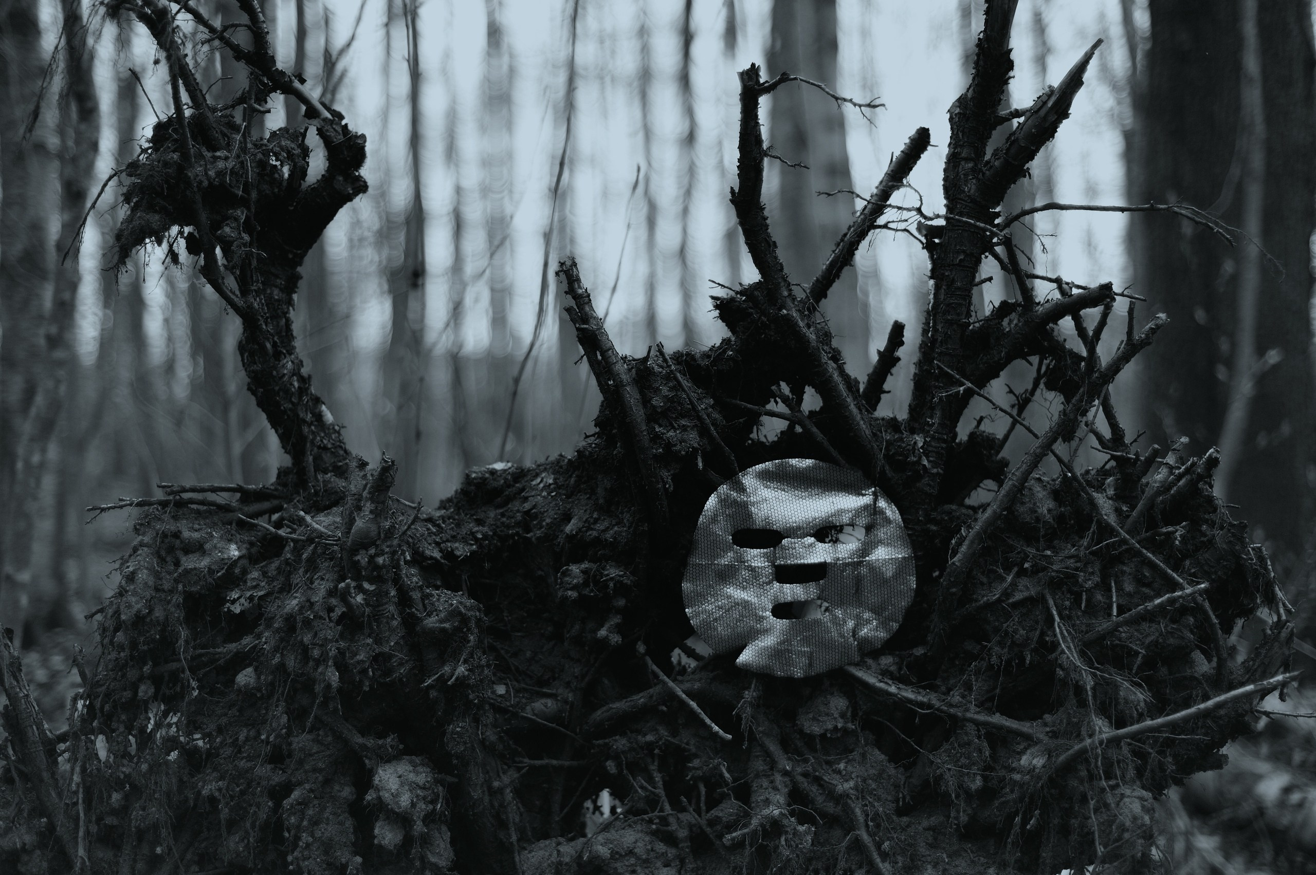 На грани Миров. Катерина Михеева