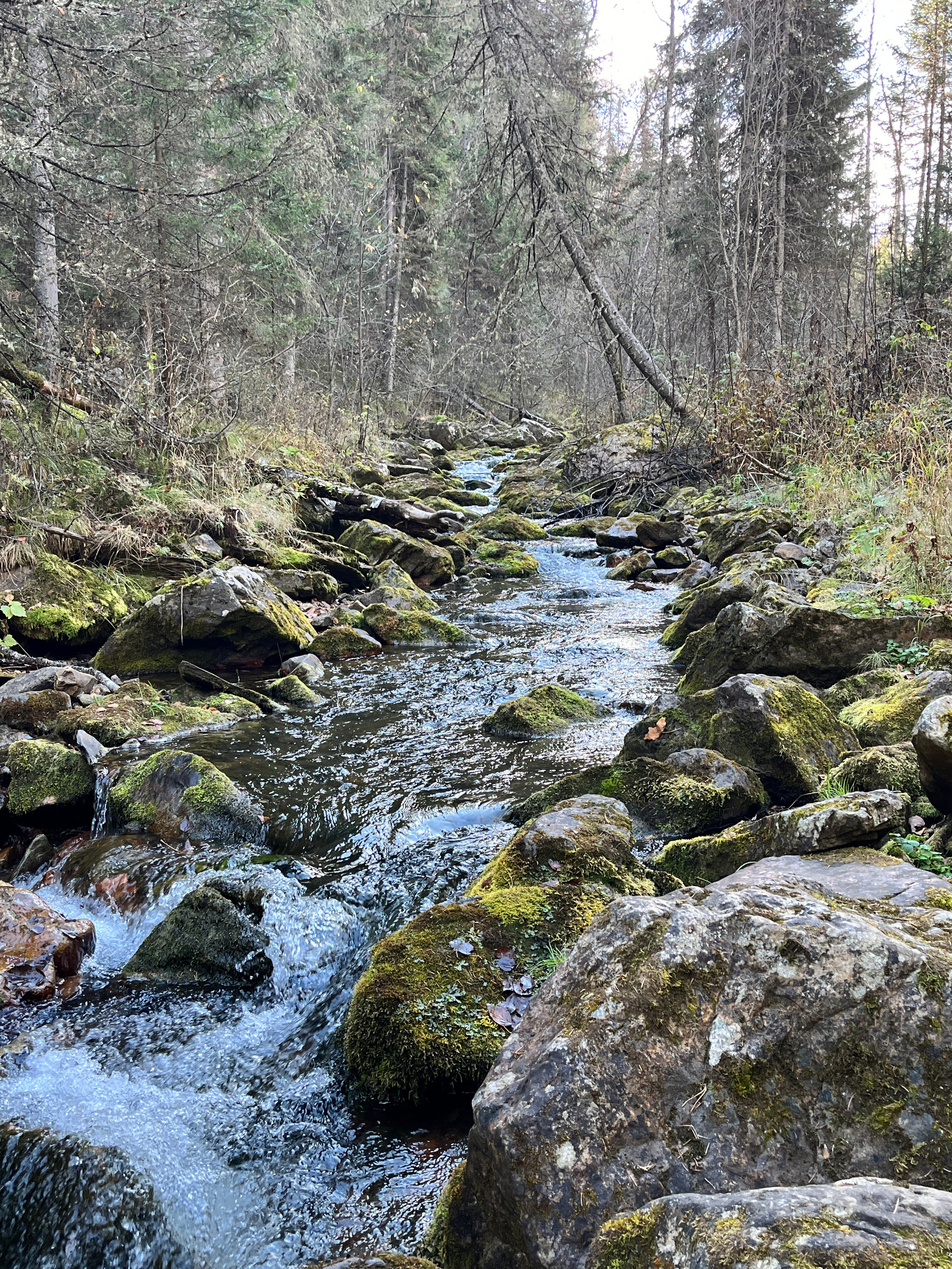 Фото с походов на Айгир — Время приключений