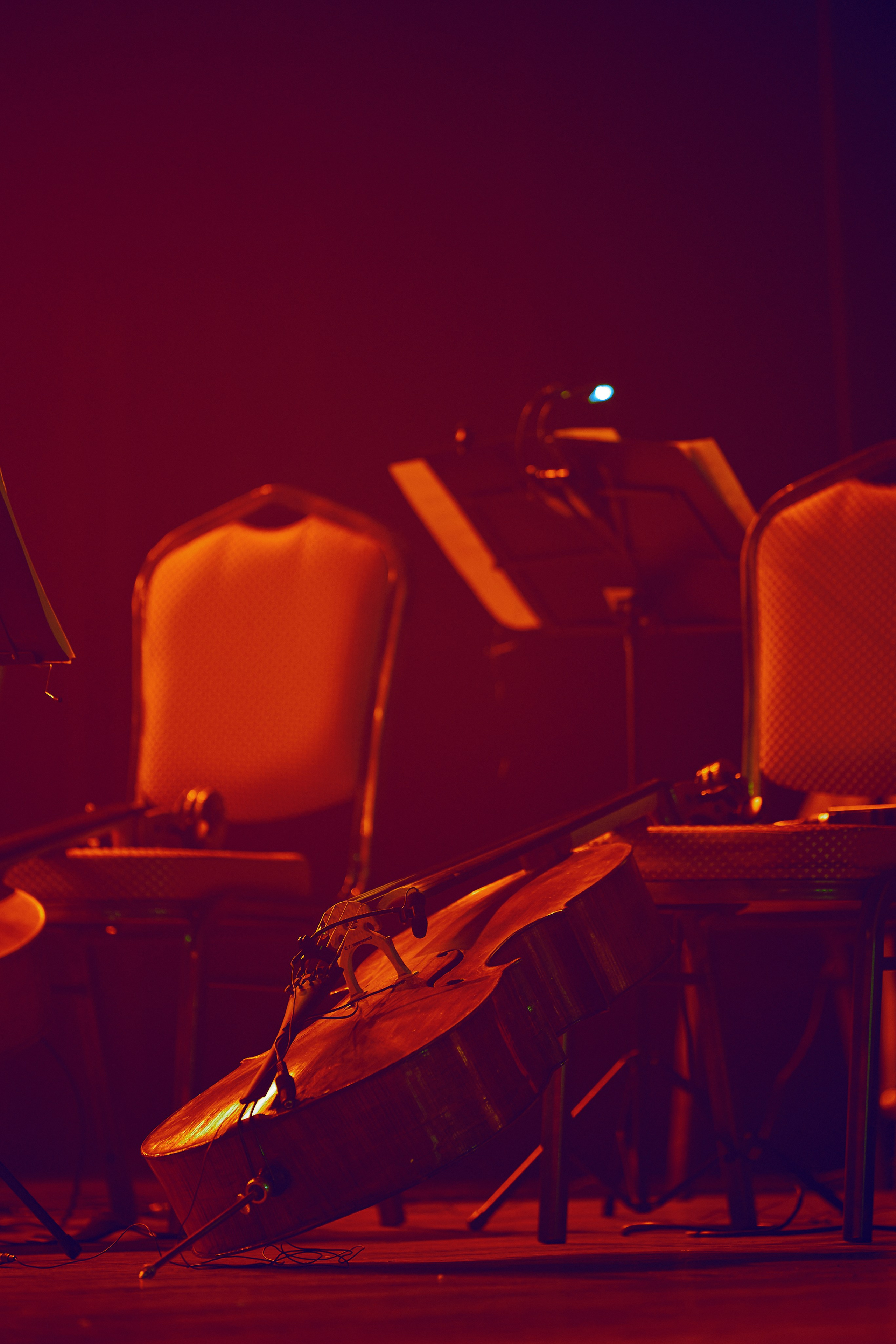 Rammstein Show Tribute 19.02. Свадебный репортажный фотограф краснодар максим дремов дрёмов фотосессия студия цена