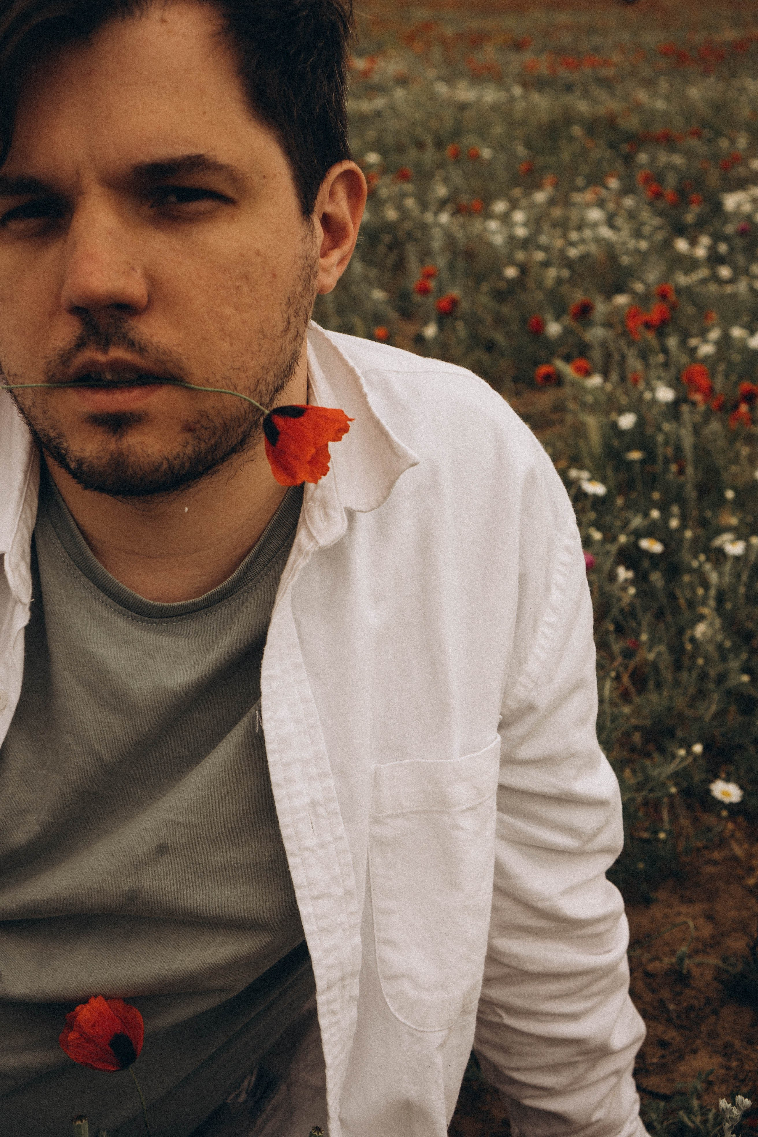 Маки. Профессиональный фотограф, Санкт-Петербург — Виктория Богомолова