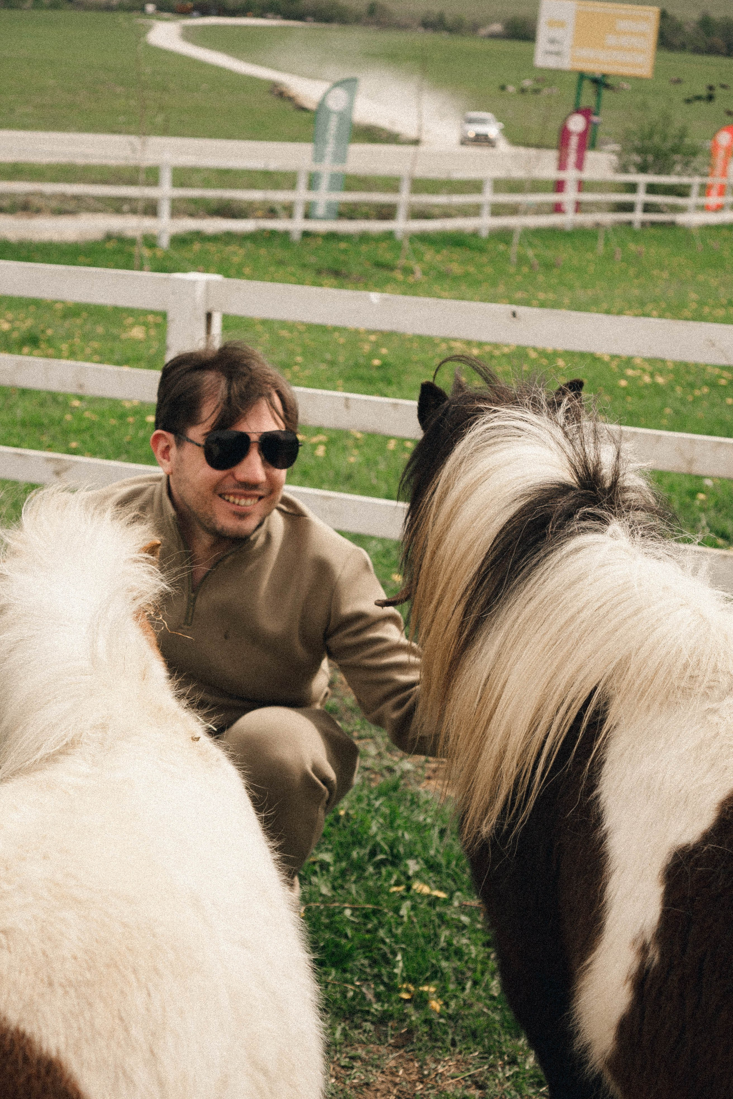 Ферма Альпак. Профессиональный фотограф, Санкт-Петербург — Виктория Богомолова